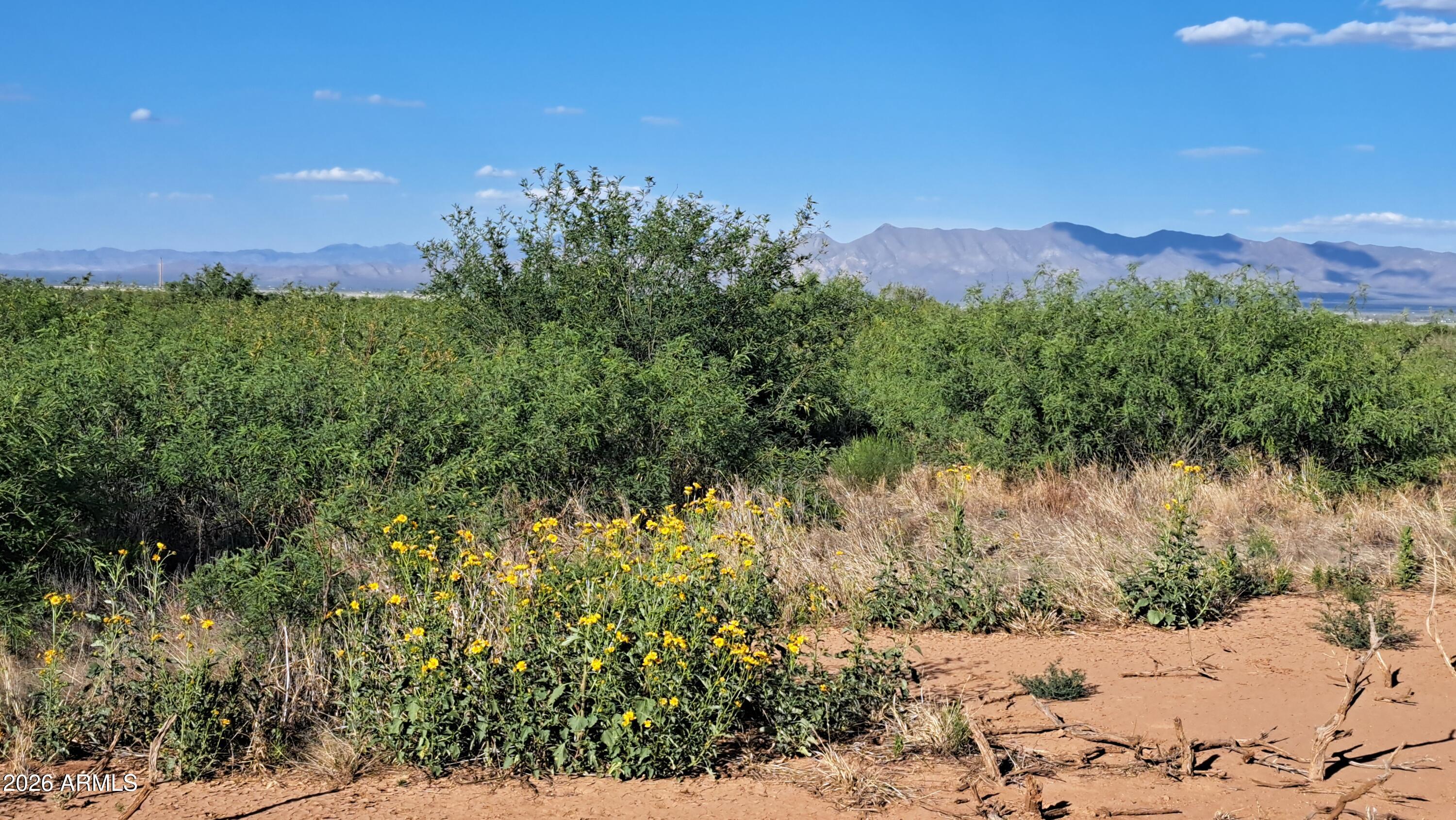 TOMBSTONE VALLEY RANCHES - Land