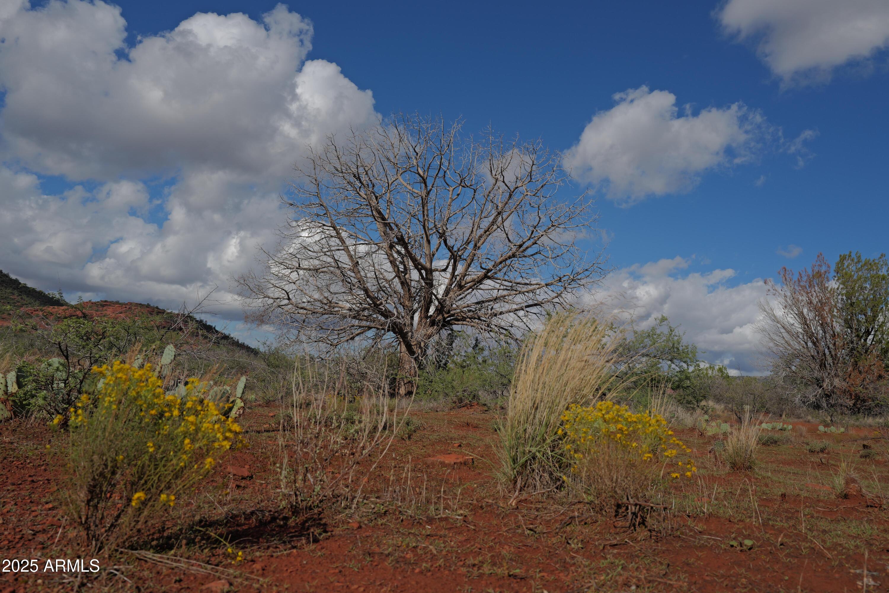 CATHEDRAL ROCK RANCH PHASE 1 - Land