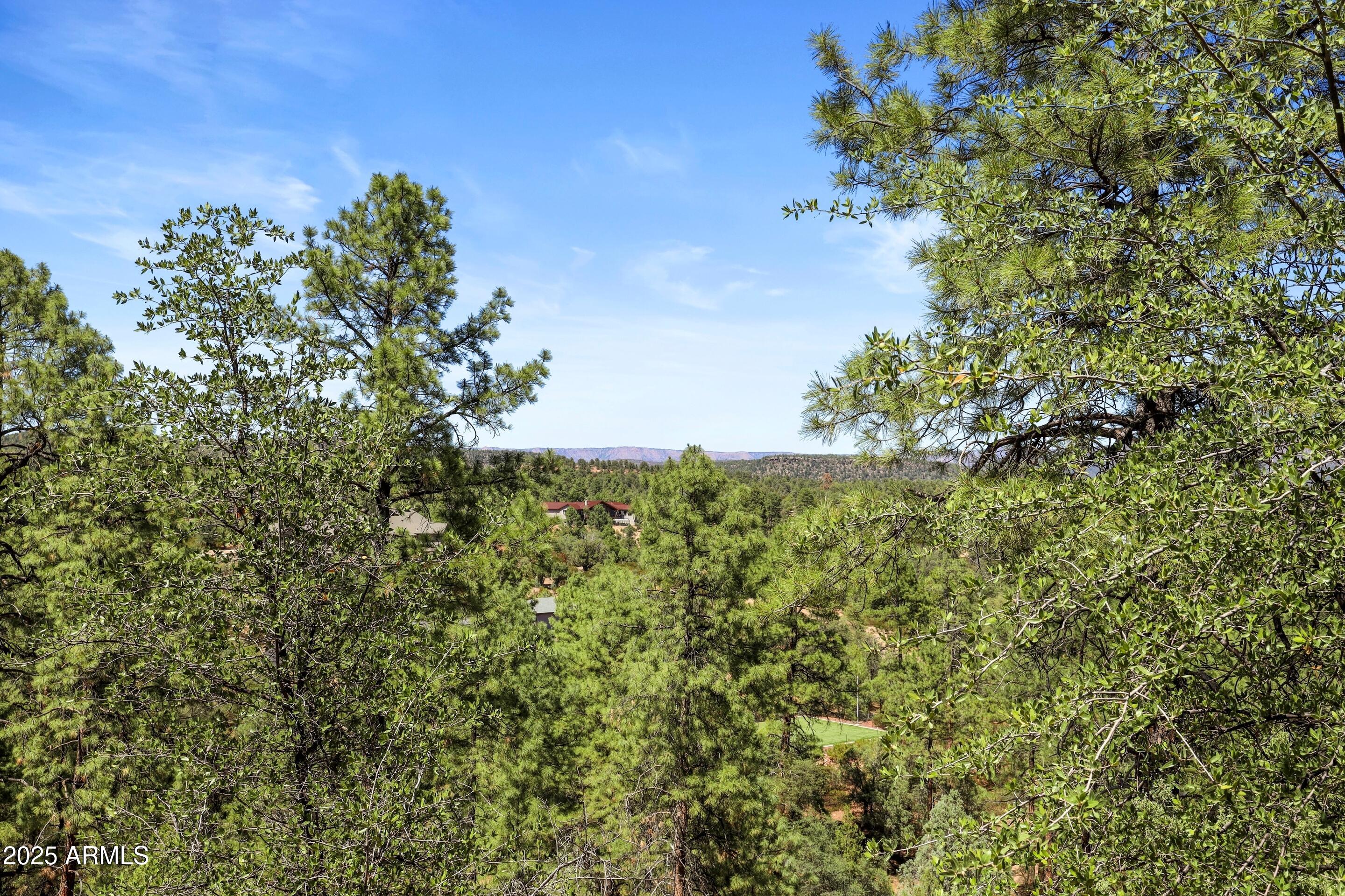CHAPARRAL PINES PHASE 1 - Residential