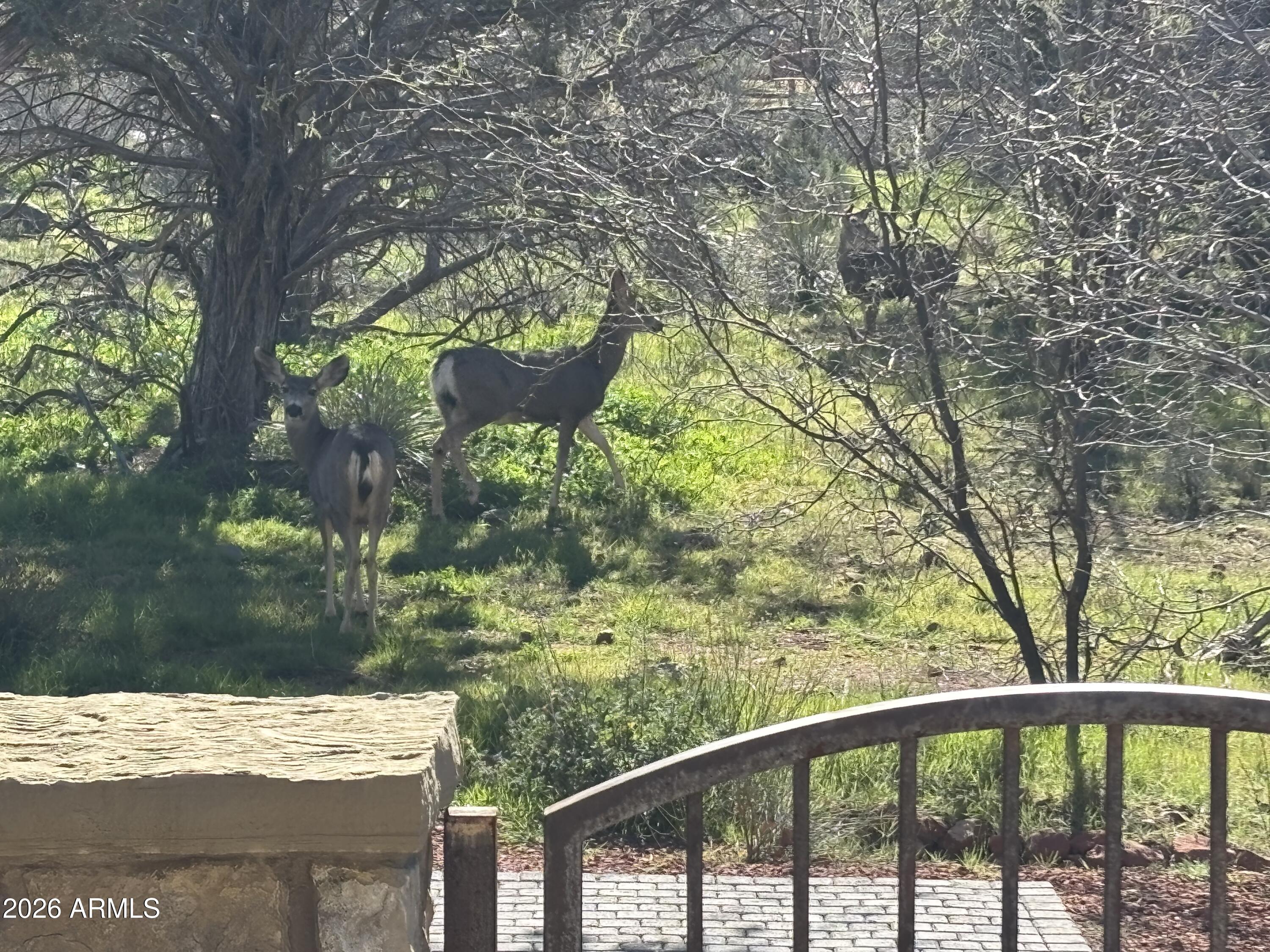 CROSS CREEK RANCH - Residential