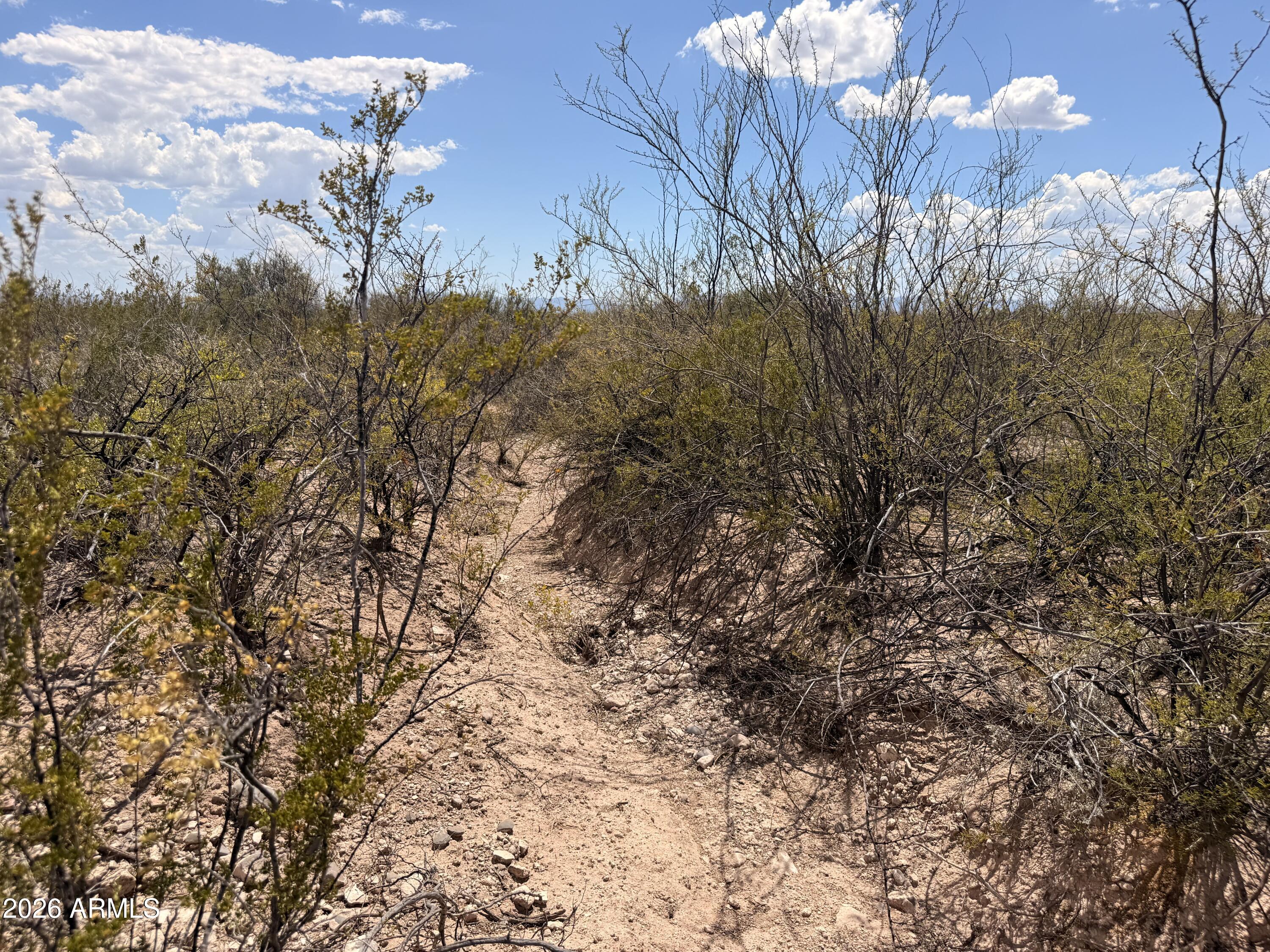 VALLEY SPRINGS 6 - Land