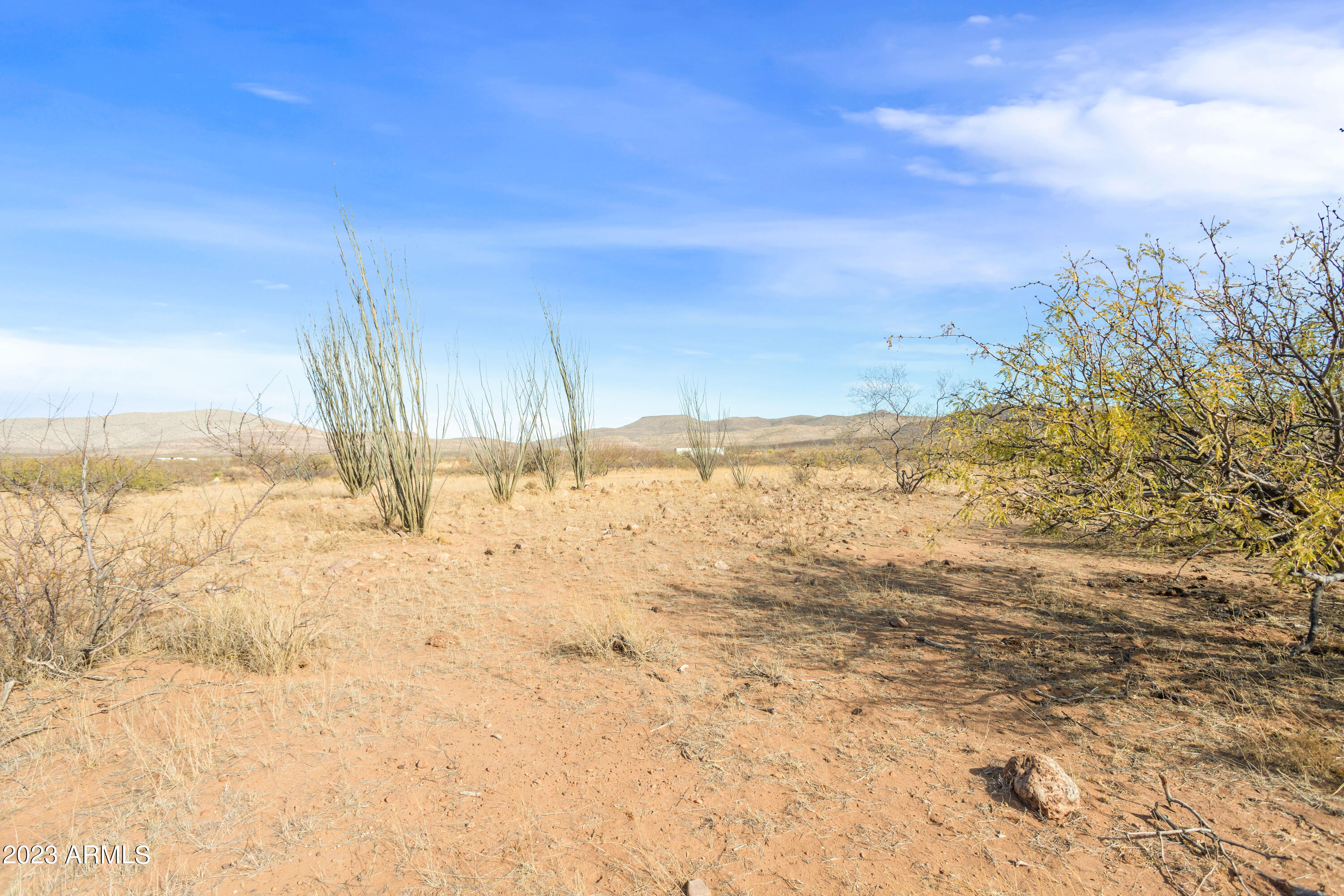 MULE MOUNTAIN RANCHES PHASE 2 - Land