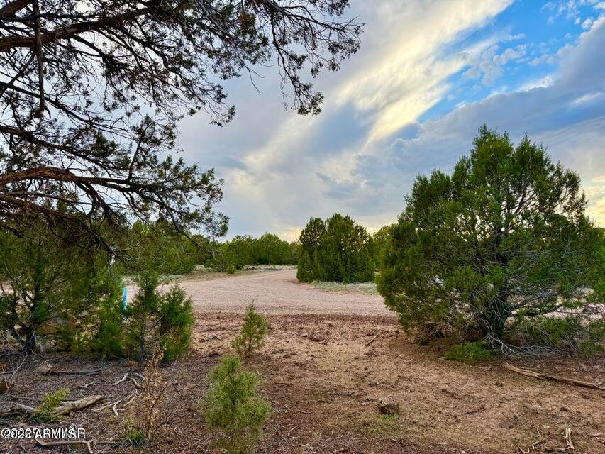 White Mountain Lakes - Land