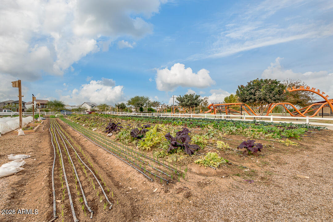 TOWNS AT EASTMARK - Residential