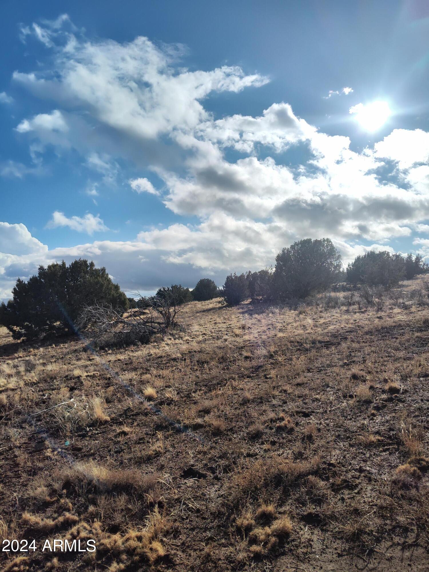 DIAMOND BELL RANCH TUCSON - Land