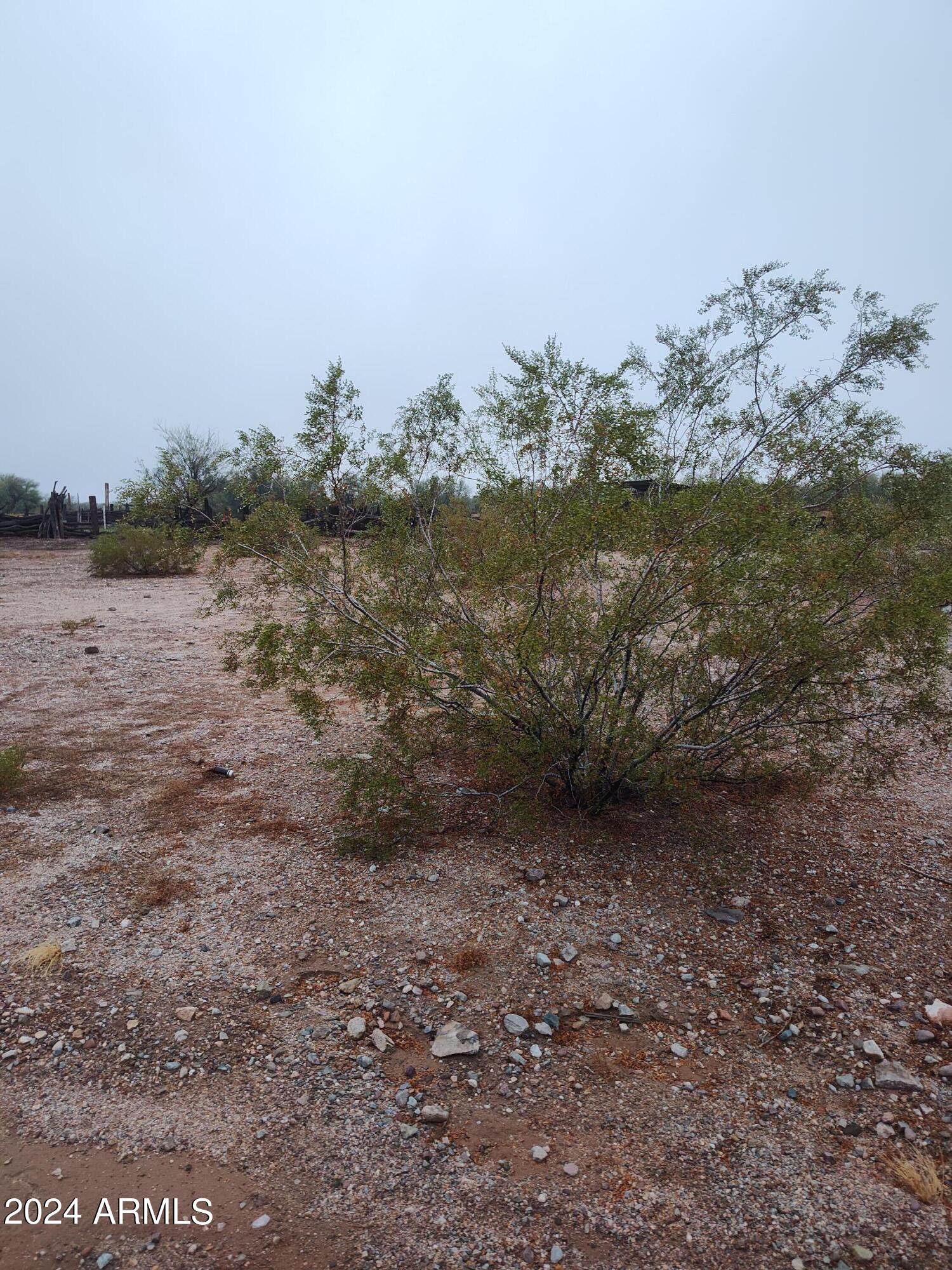 DIAMOND BELL RANCH TUCSON - Land