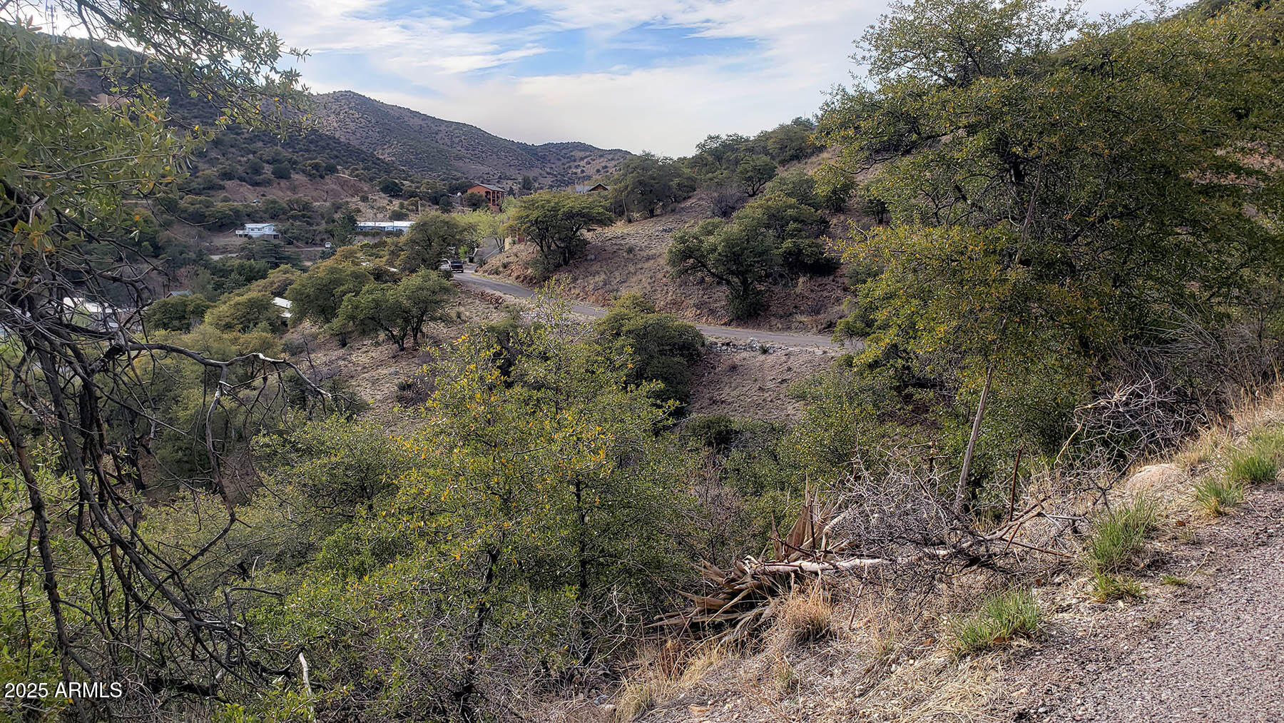 Bisbee City Lots 150-152 - Land