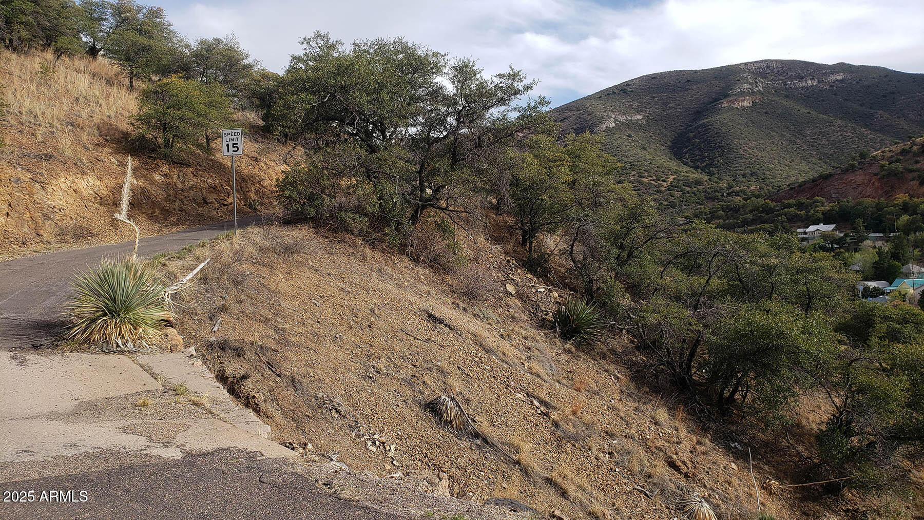 Bisbee City Lots 150-152 - Land
