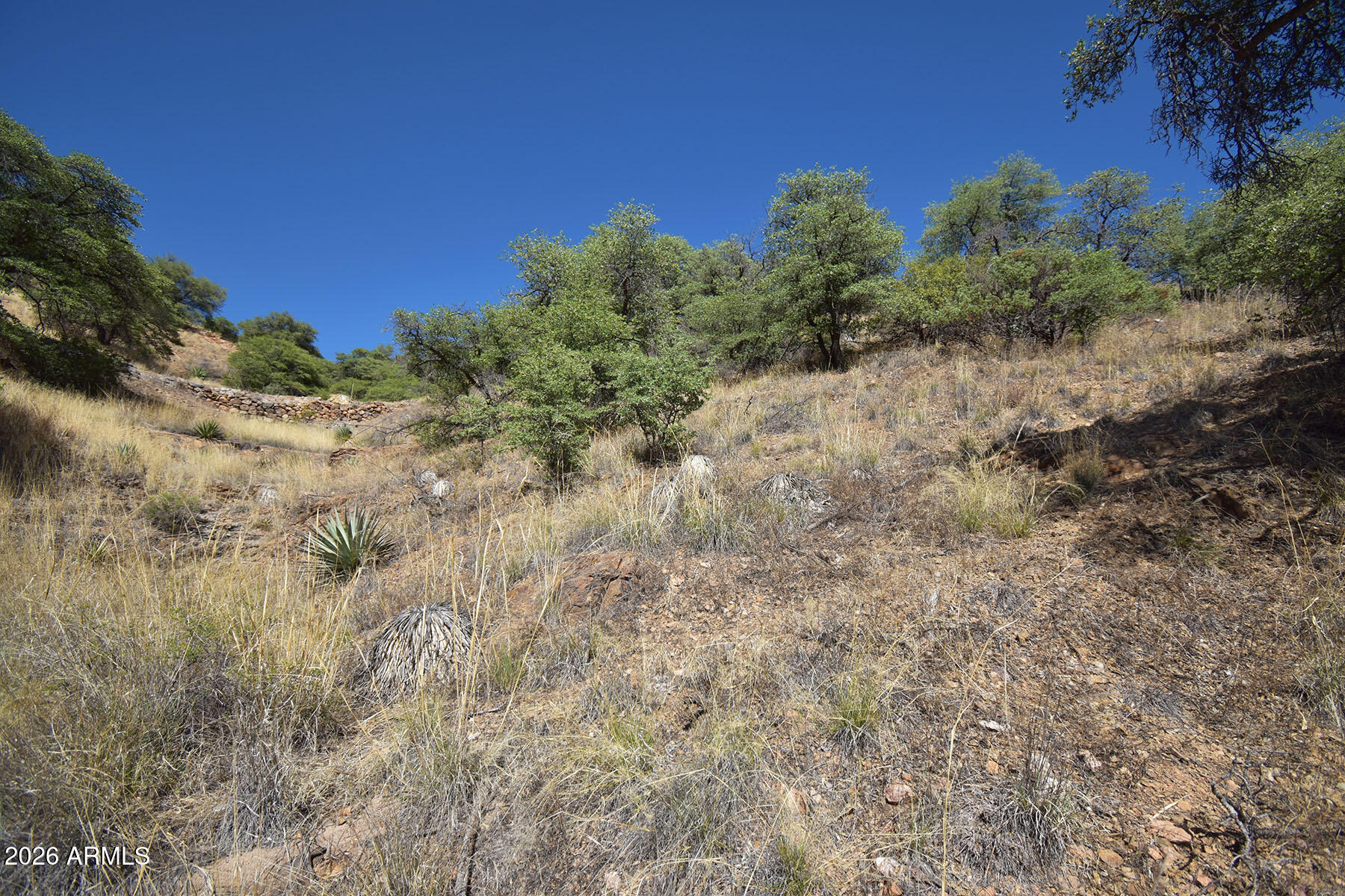Bisbee City Lots 150-152 - Land