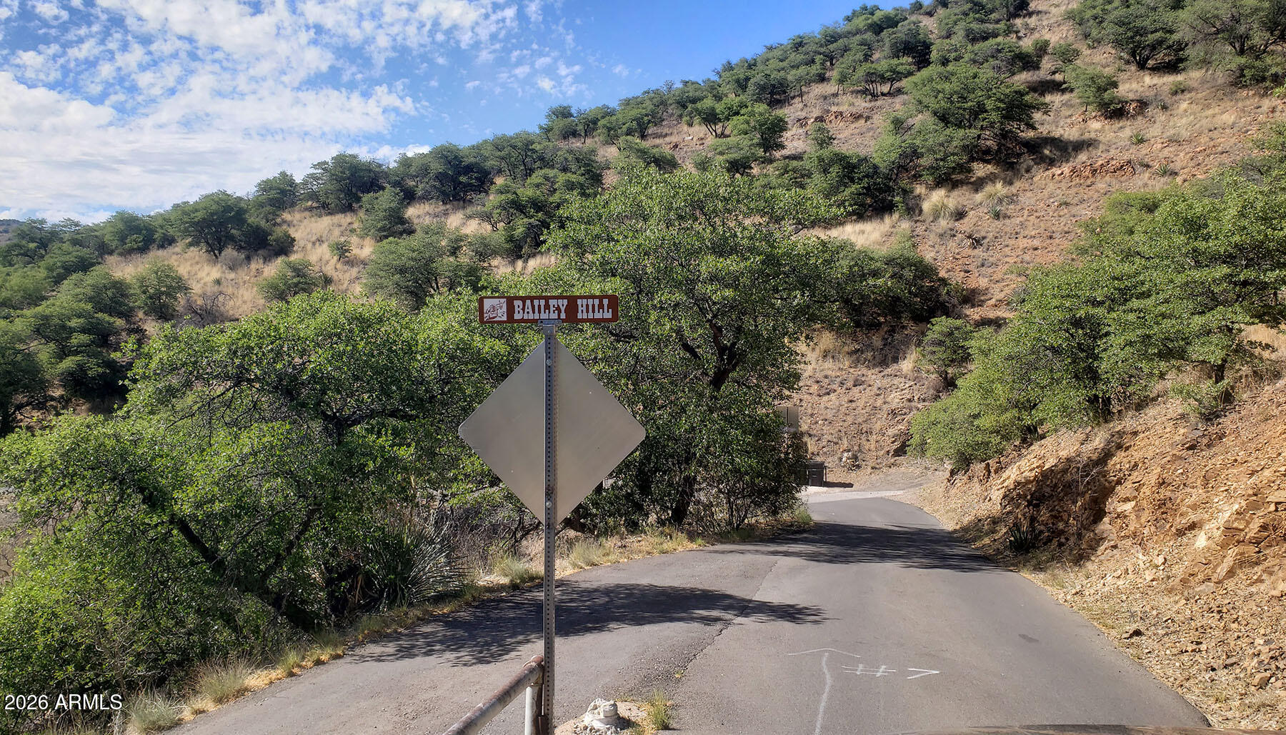 Bisbee City Lots 150-152 - Land