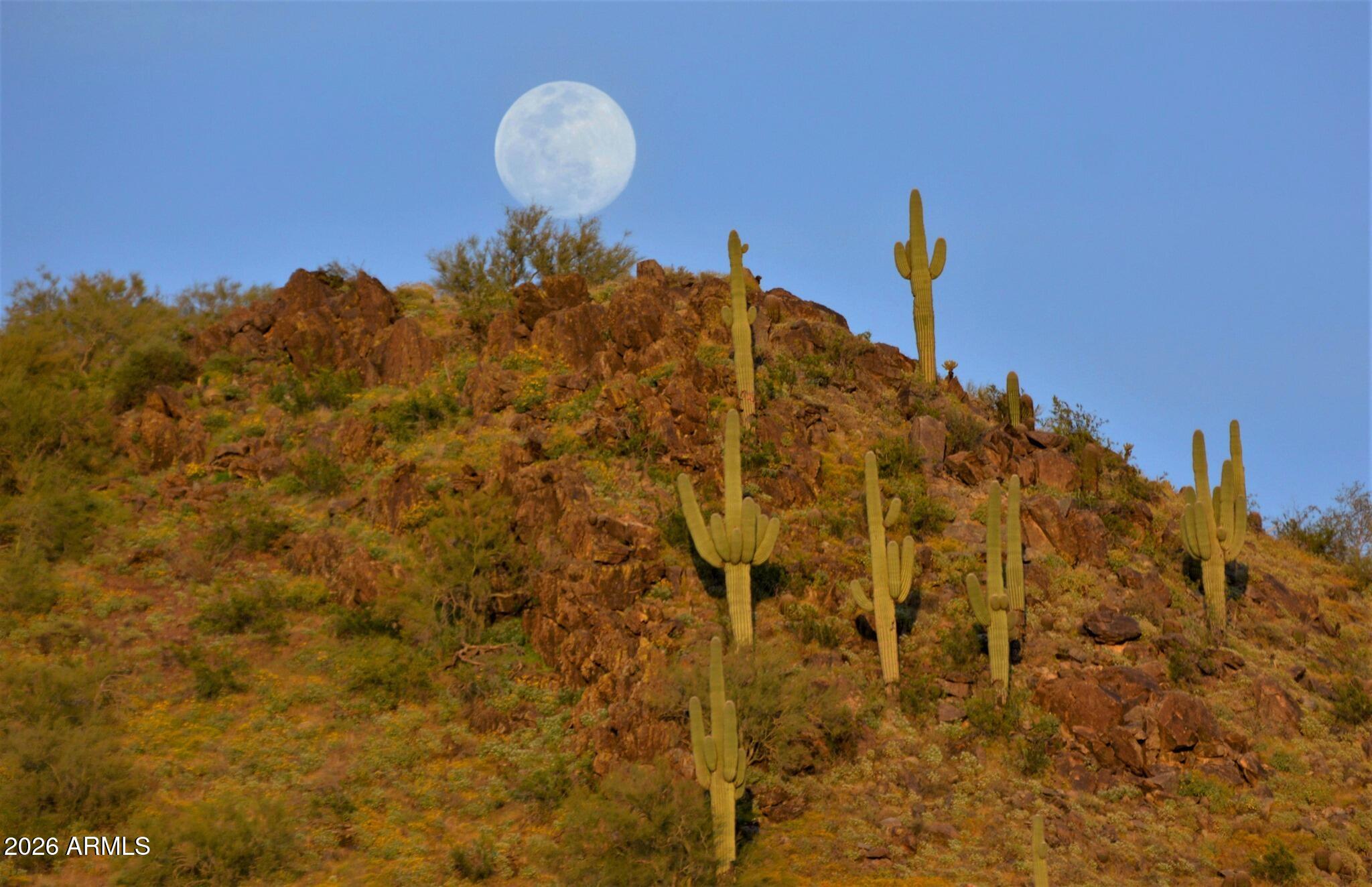 CAREFREE SENTINEL ROCK ESTATES LOT 1-62 - Land