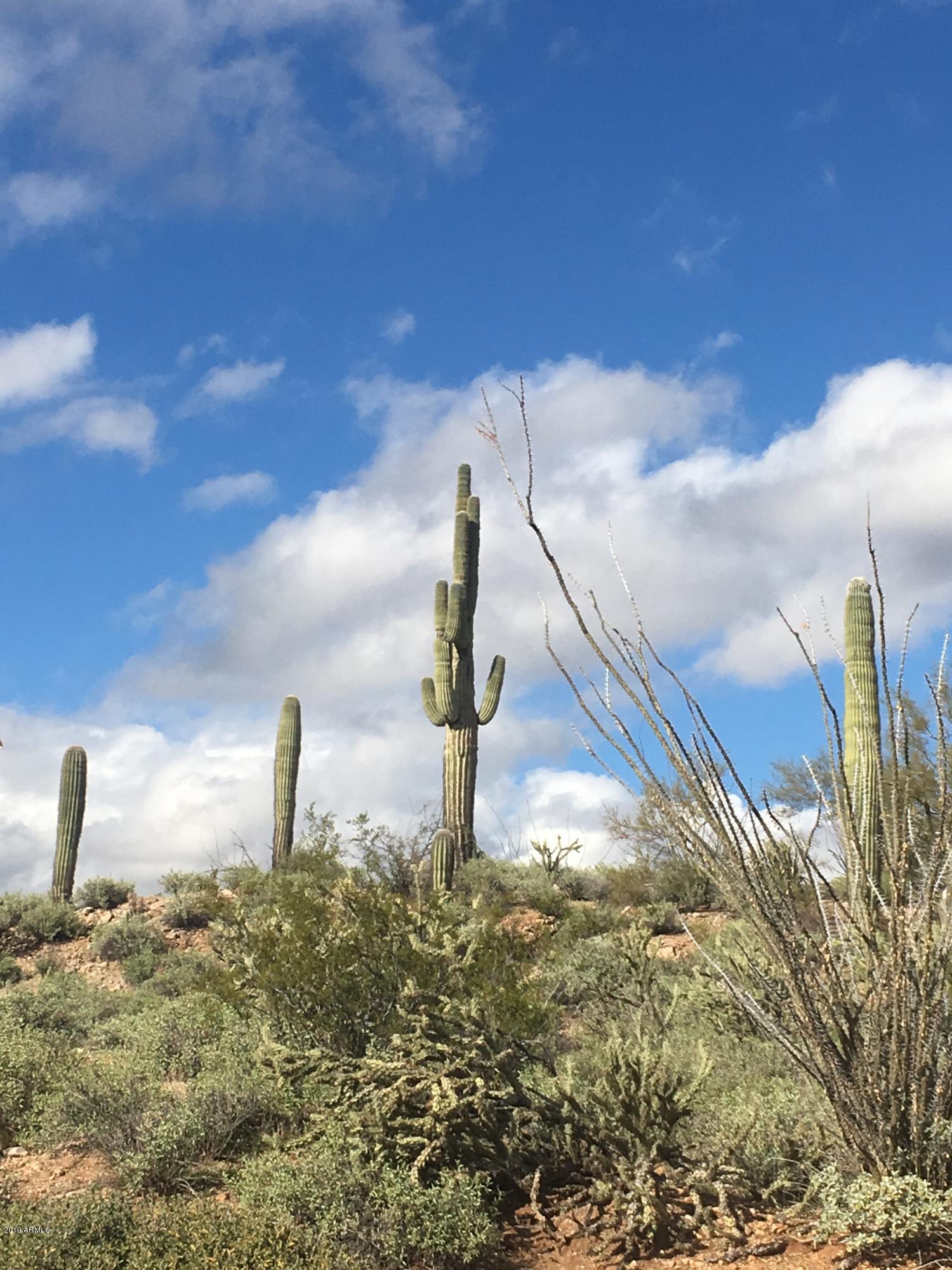 SAGUARO ESTATES AT THE REMUDA RANCH - Land
