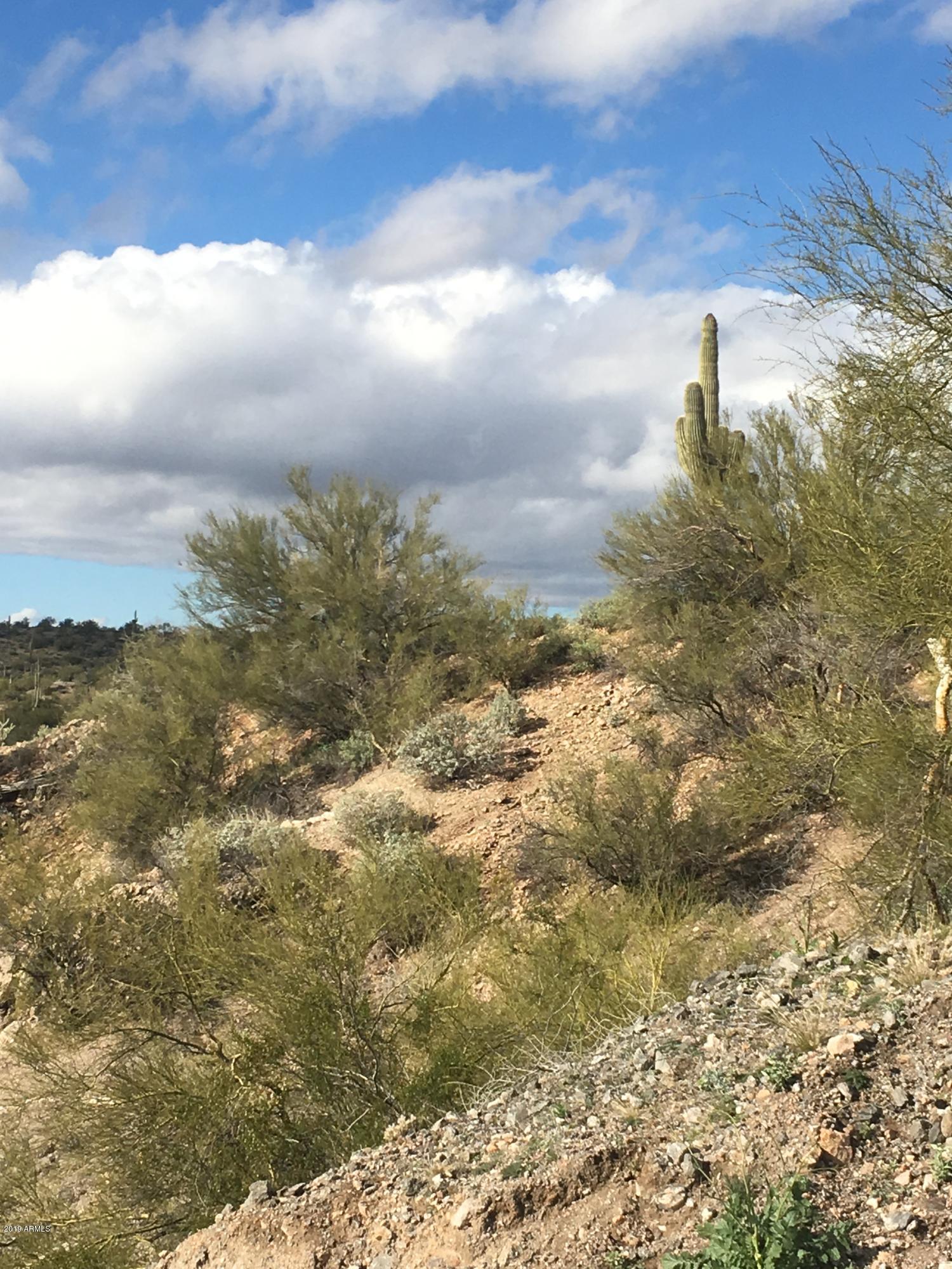 SAGUARO ESTATES AT THE REMUDA RANCH - Land