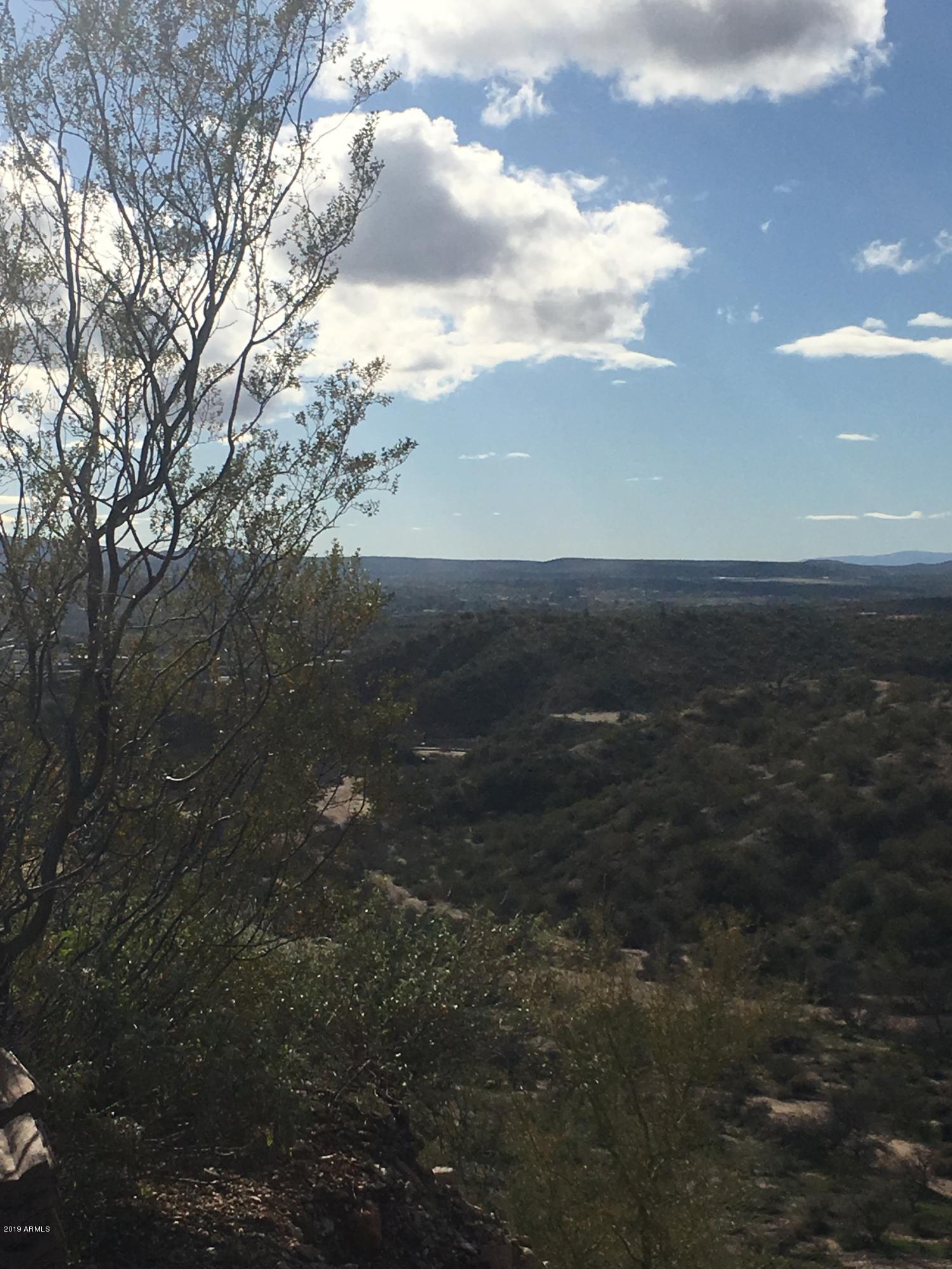 SAGUARO ESTATES AT THE REMUDA RANCH - Land