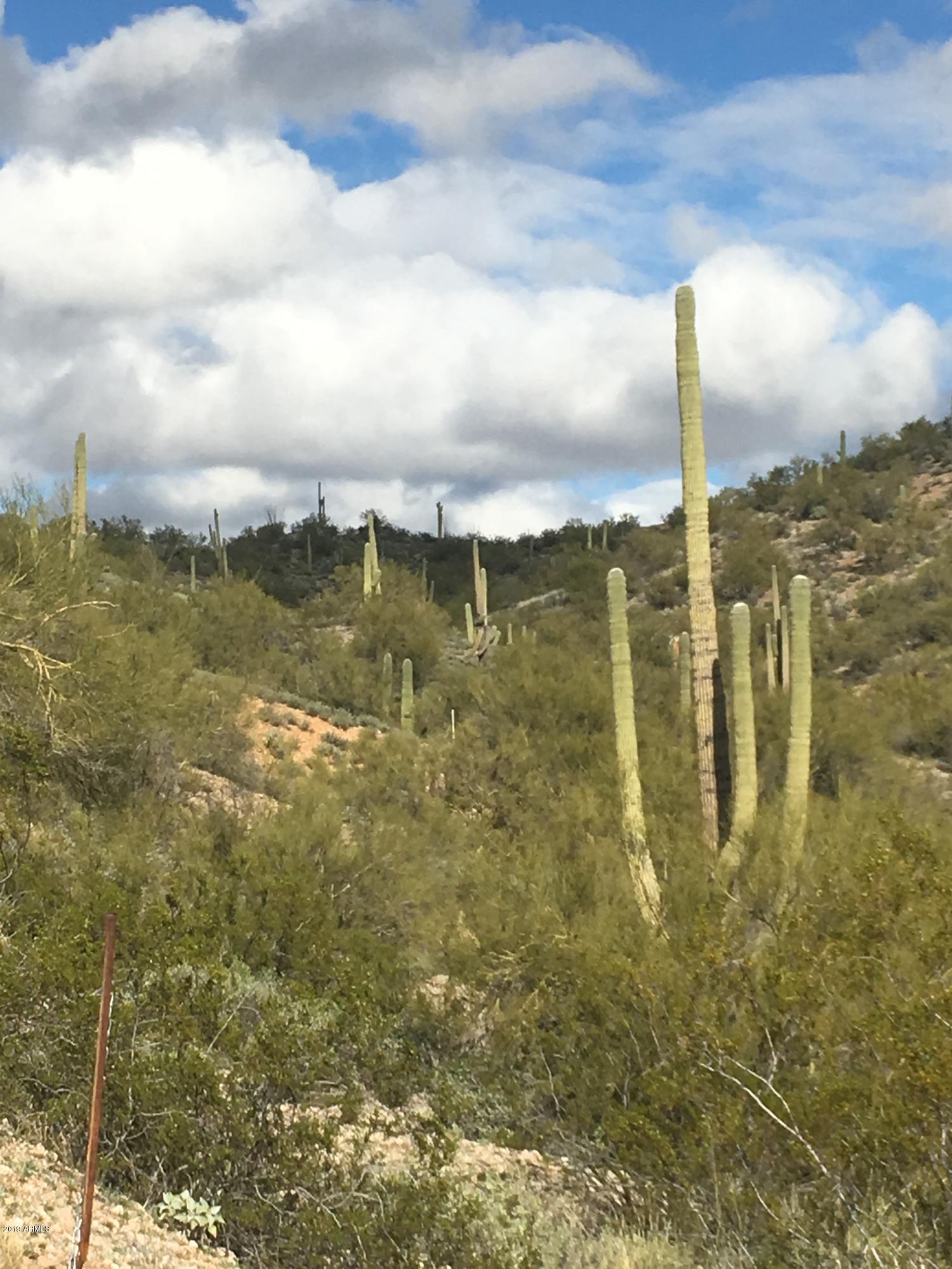 SAGUARO ESTATES AT THE REMUDA RANCH - Land