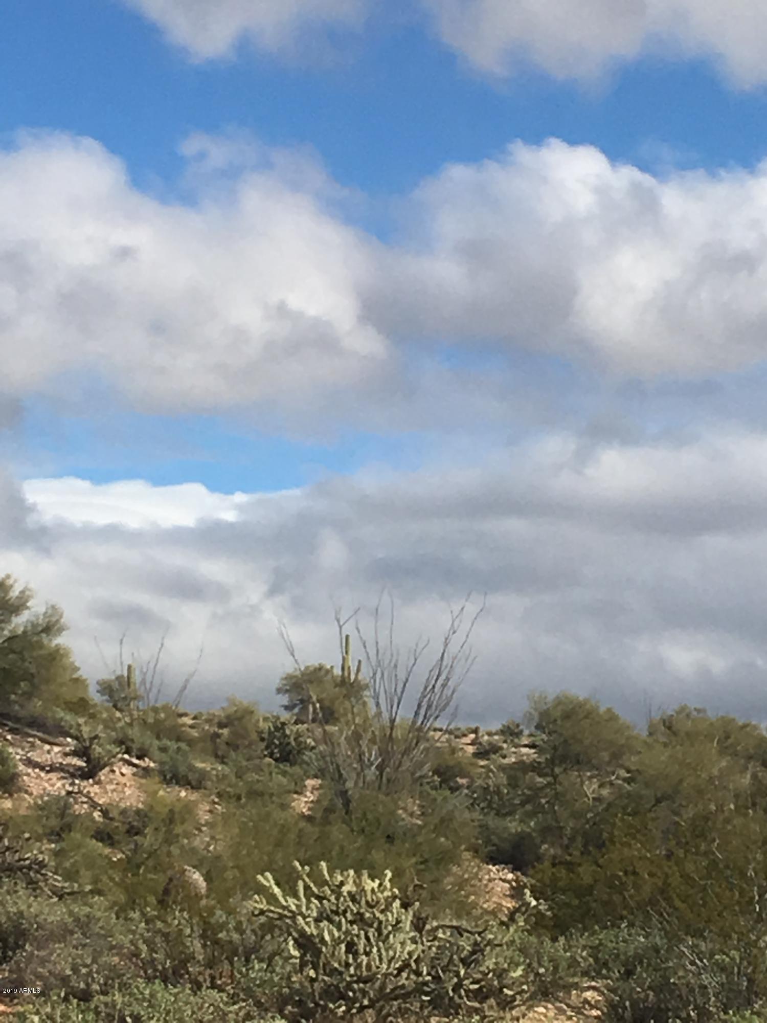 SAGUARO ESTATES AT THE REMUDA RANCH - Land