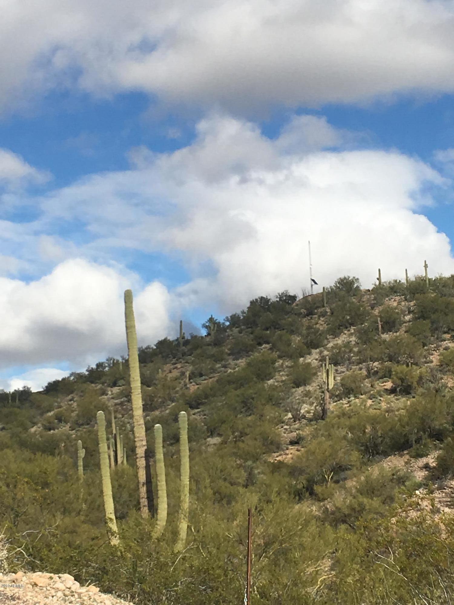 SAGUARO ESTATES AT THE REMUDA RANCH - Land