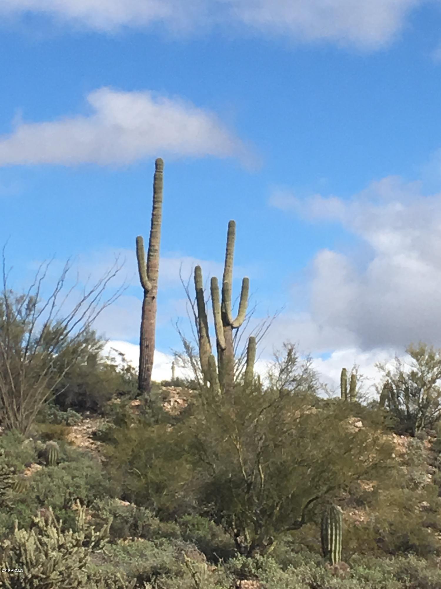 SAGUARO ESTATES AT THE REMUDA RANCH - Land