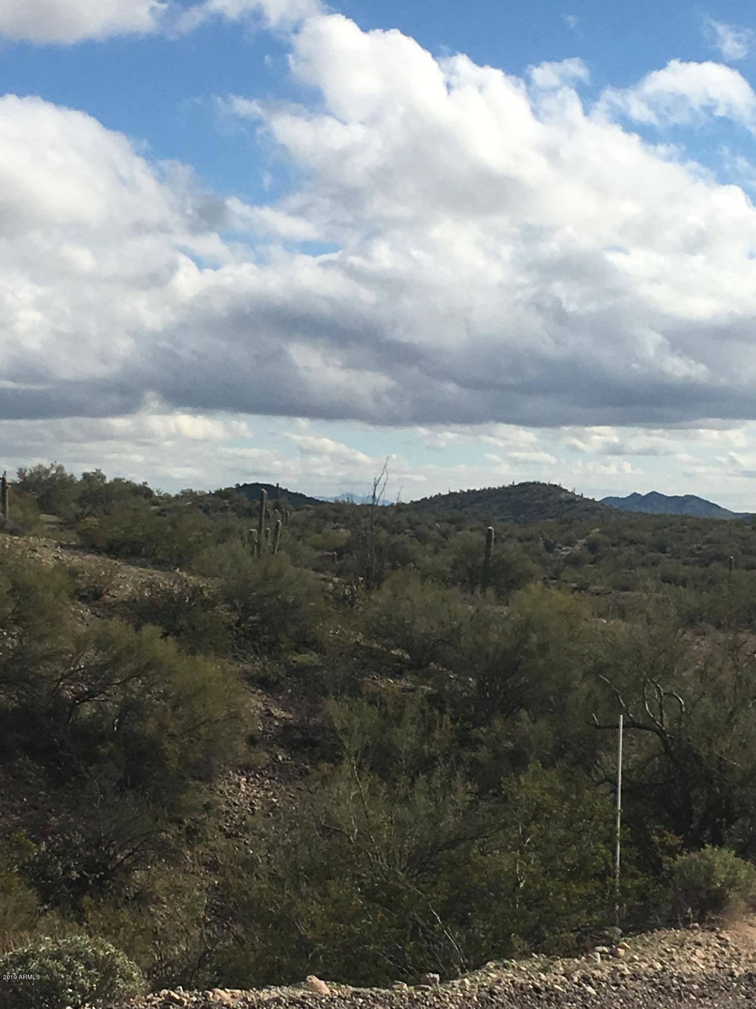 SAGUARO ESTATES AT THE REMUDA RANCH - Land