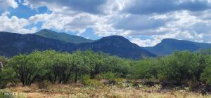If you are looking for AMAZING mountain views, these lots have it! Each lot is approximately 1 acre. Right off Ramsey Canyon Rd so no long gravel roads. 
Electric is at property line of Lot D. Choose from 4 very wooded lots to build your dream home or offer on all 4 to create privacy or future investment.  Each lot comes with 1/5 well share. All 4 lots for sale for $189,900.00 owner carry available. Owner/Agent