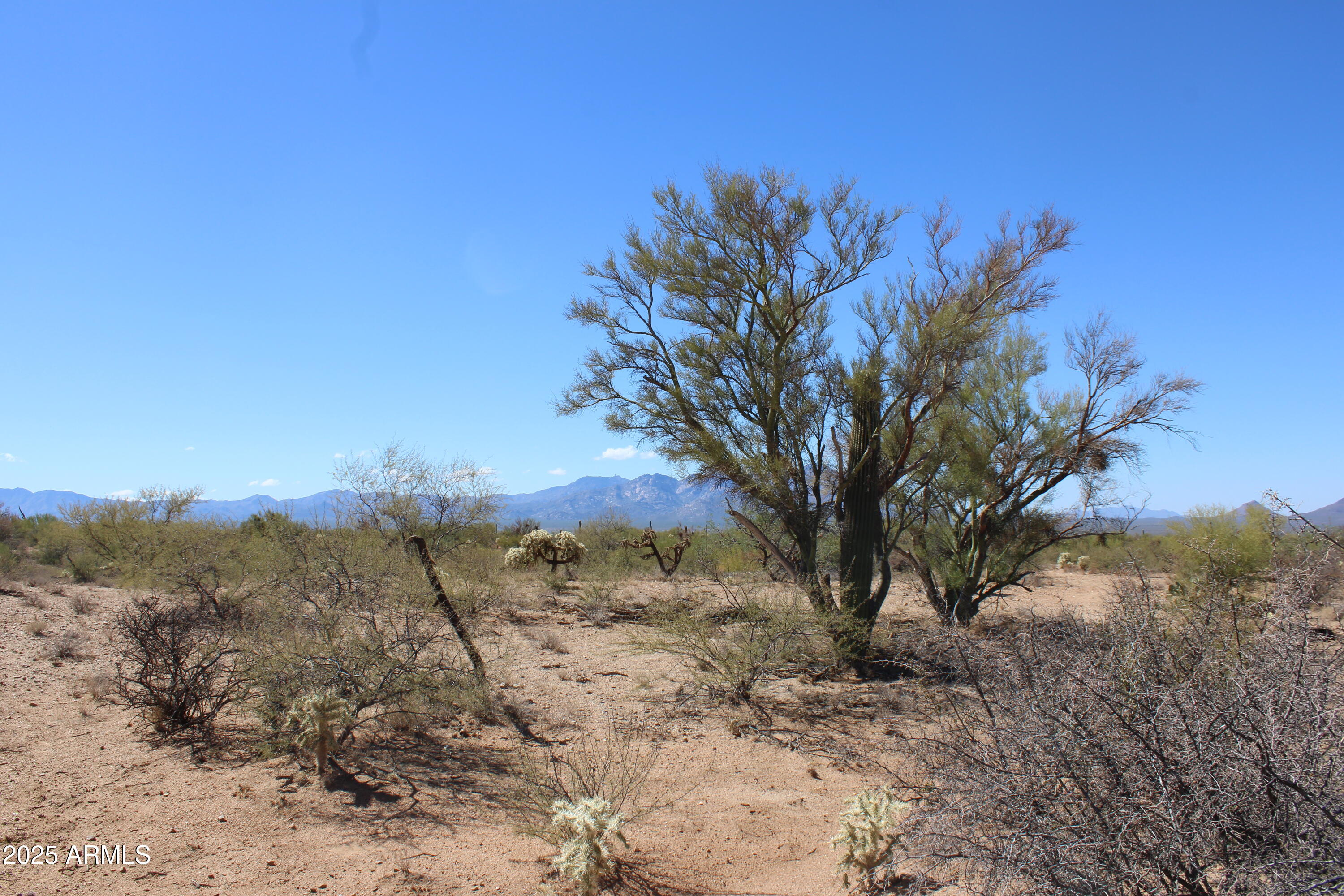 DIAMOND BELL RANCH TUCSON - Land