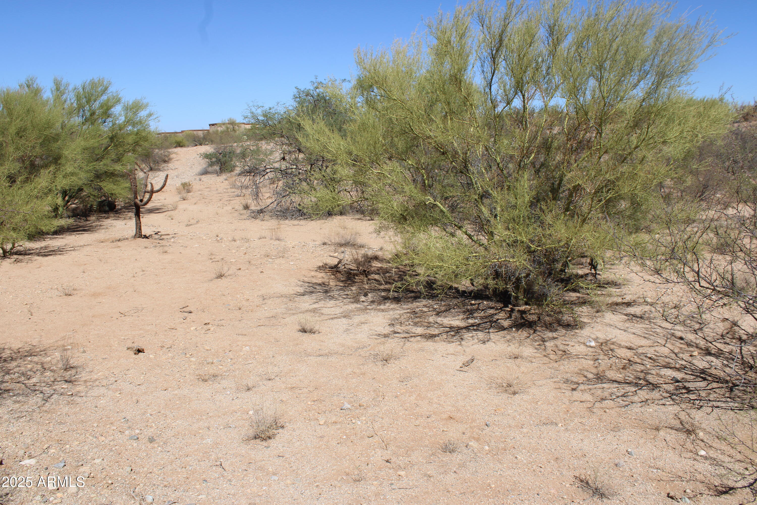 DIAMOND BELL RANCH TUCSON - Land