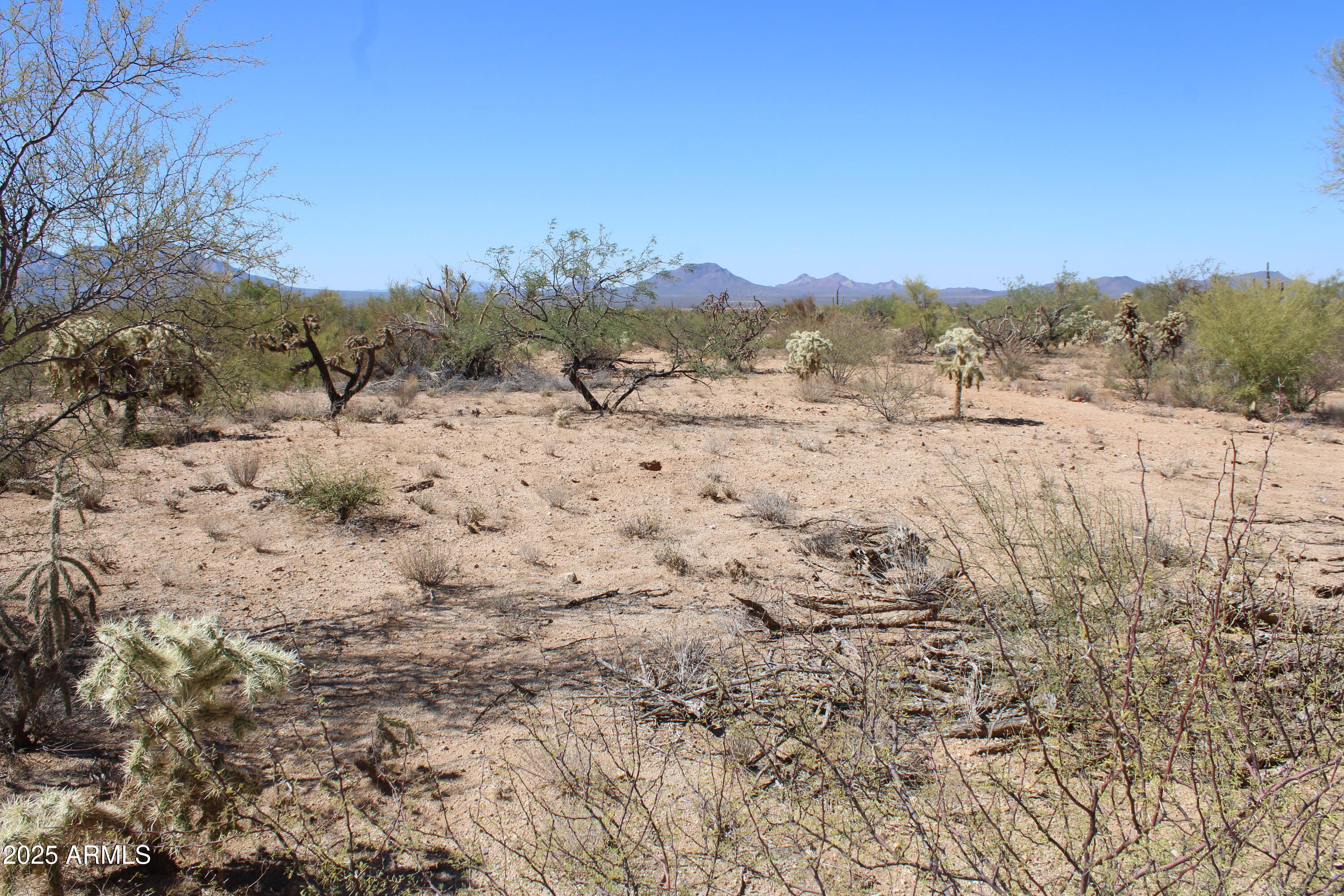Build your desert retreat on this 1.203-acre (52,403 sqft) lot located across from Arizona State Trust Land, offering lasting open space and privacy. Enjoy sweeping views of the Sierrita Mountains, the iconic Kitt Peak National Observatory, and the majestic Baboquivari Peak Wilderness, a sacred landmark to the Tohono O'odham Nation. Peaceful setting with stunning sunsets and dark night skies. Adjacent 1.371-acre corner lot at 14243 S Shaw Rd (APN 301-67-331) also available. Buyer to verify all facts.