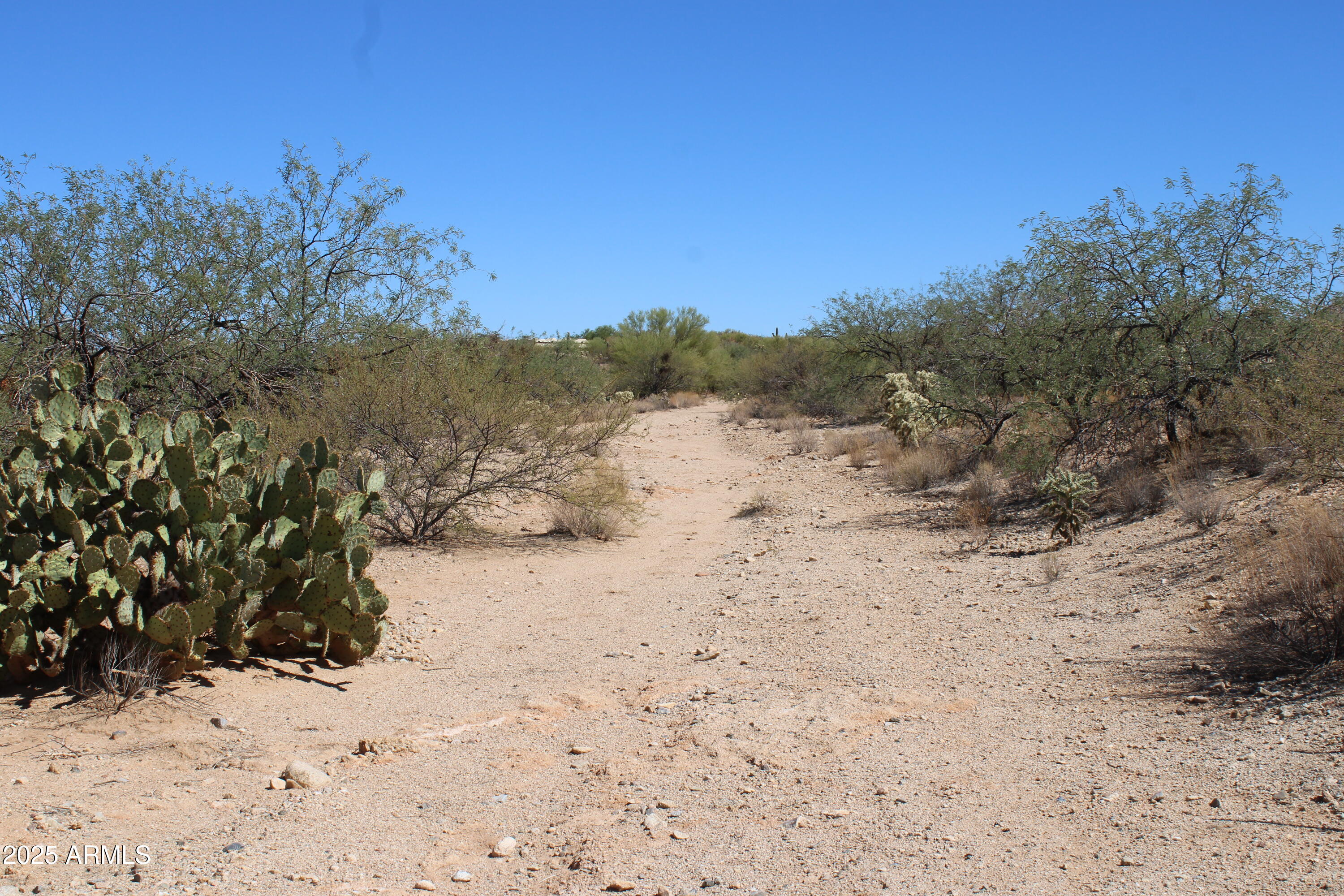 DIAMOND BELL RANCH TUCSON - Land