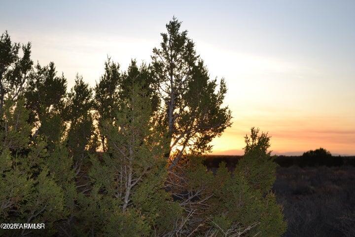 Sierra Highland Ranch - Land