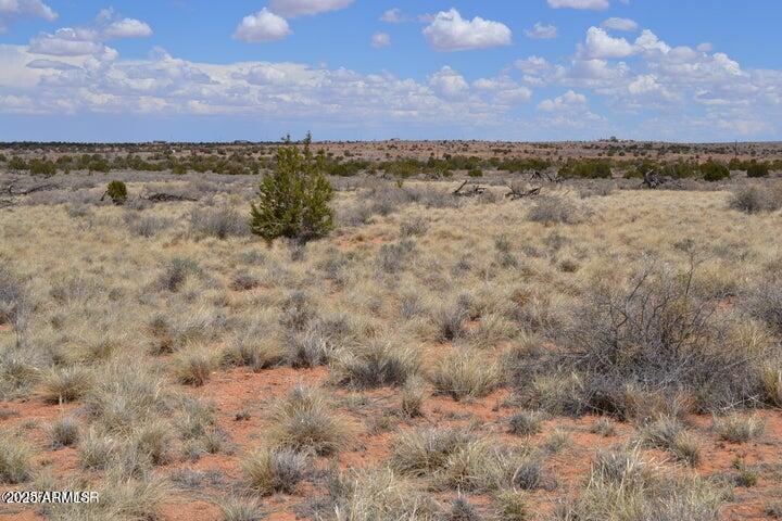 Sierra Highland Ranch - Land
