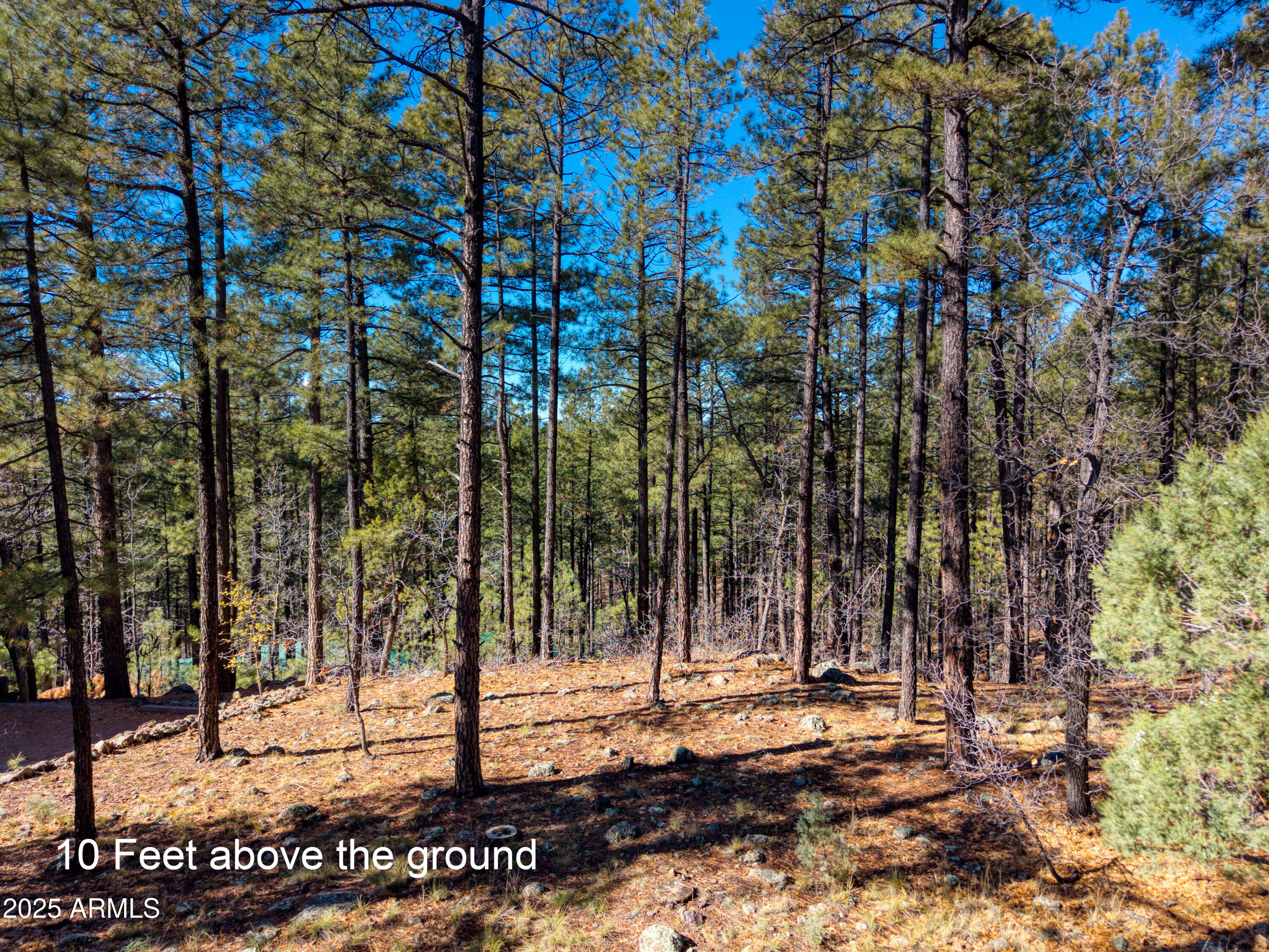PINERIDGE UNIT 1 - Land
