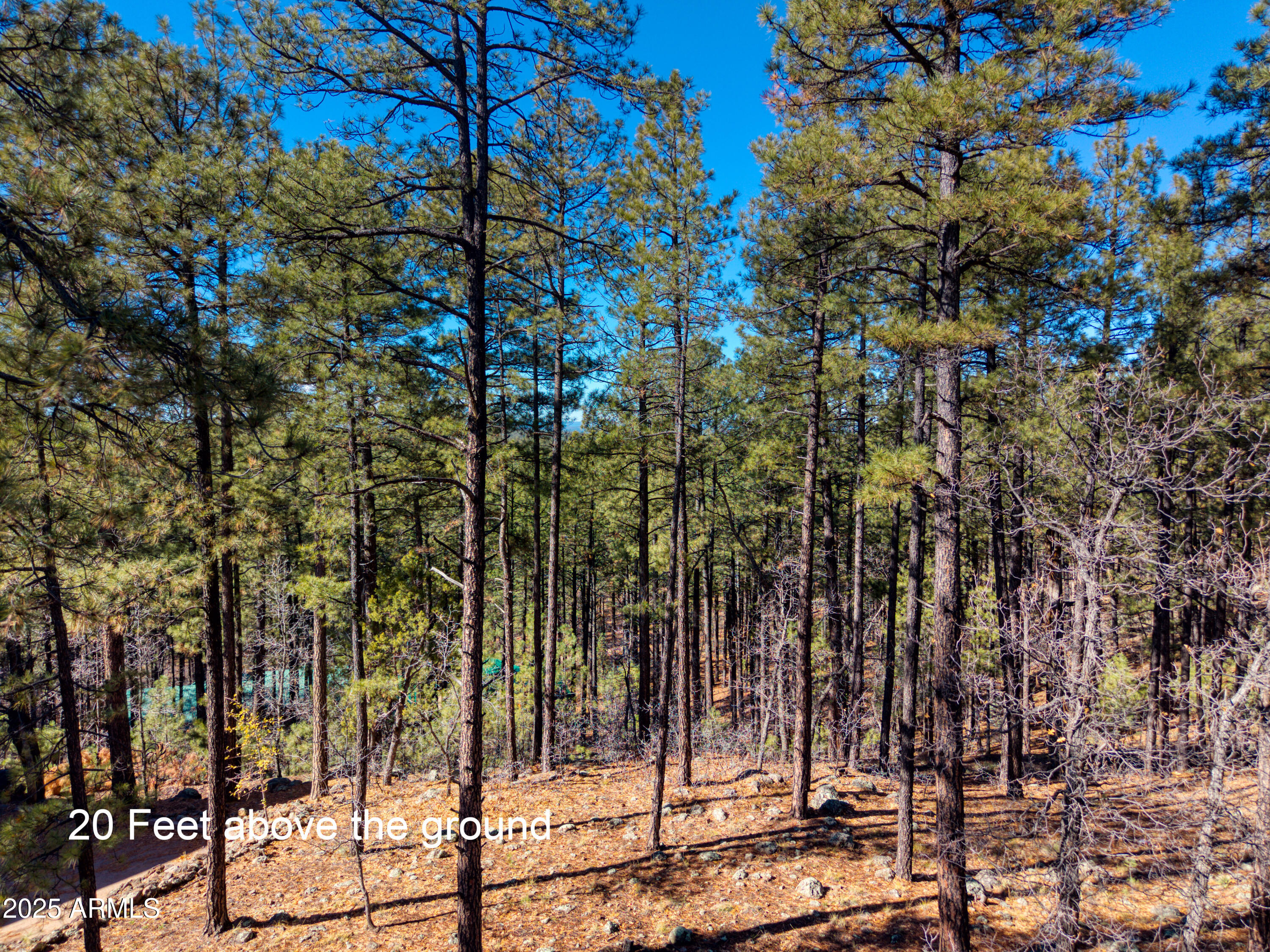 PINERIDGE UNIT 1 - Land
