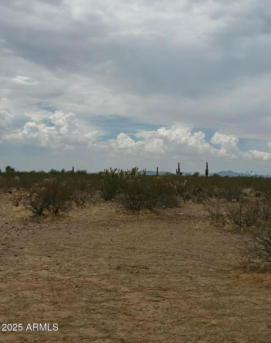 Such a wonderful opportunity to own a peaceful 5 acres with no flood plain. Additionally it comes with three picturesque saguaro cactus and other beautiful native desert plants! There are two parcels  503-17-422A and 503-17-422B, totaling 5 acres of prime building real estate.  Deed restricted to site built homes only, this prestigious neighborhood offers multiple arenas and trail riding. Pride of ownership is prevalent though out the area. There are two access easements to reach these lots.  There is not a well yet, but there's great water in the area so drilling is not a problem.  Power is close by too! Enjoy the great mountain views from all corners of these lots. NO HOA!
