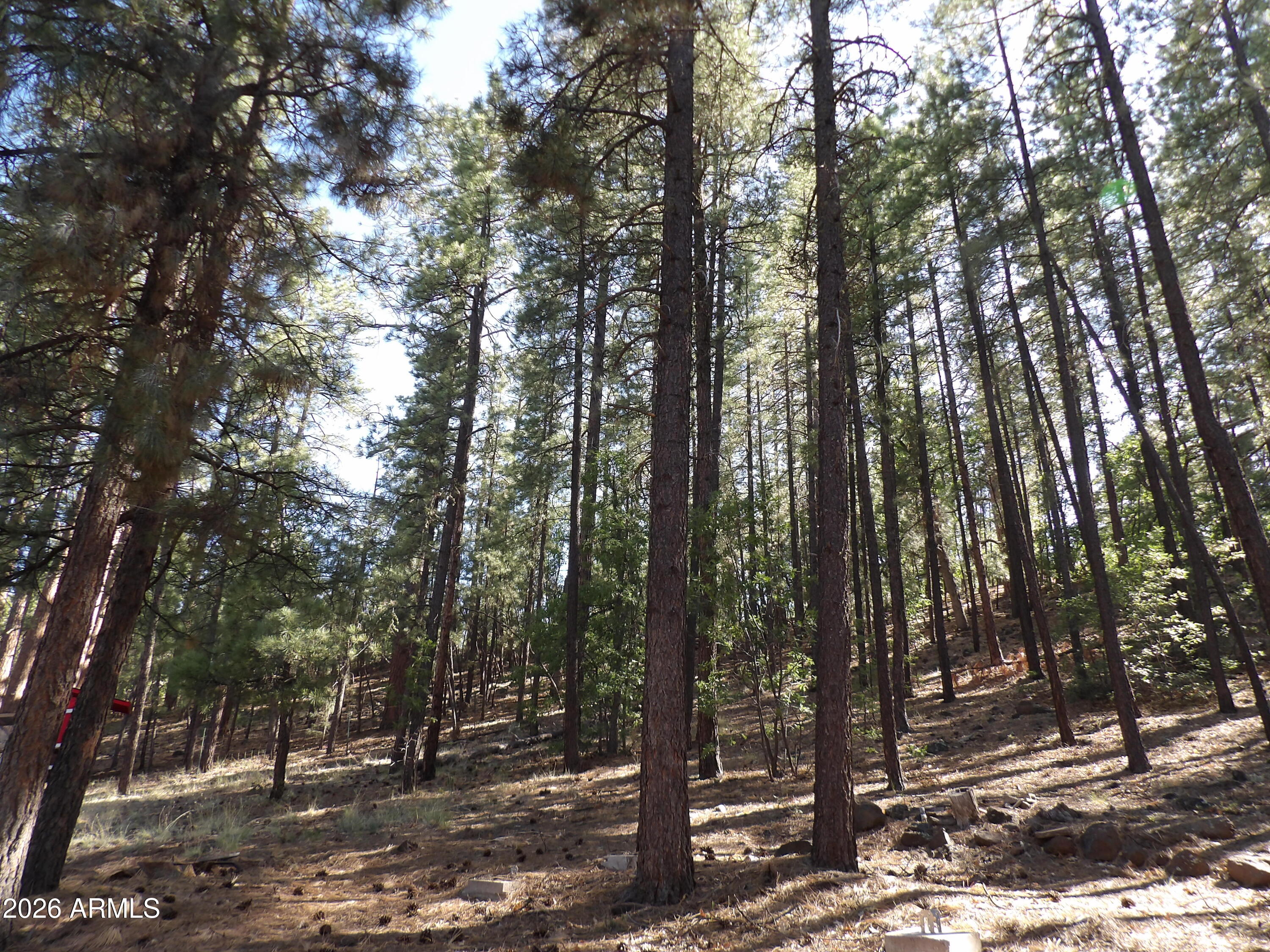 CLEAR CREEK PINES 1 AMENDED - Residential