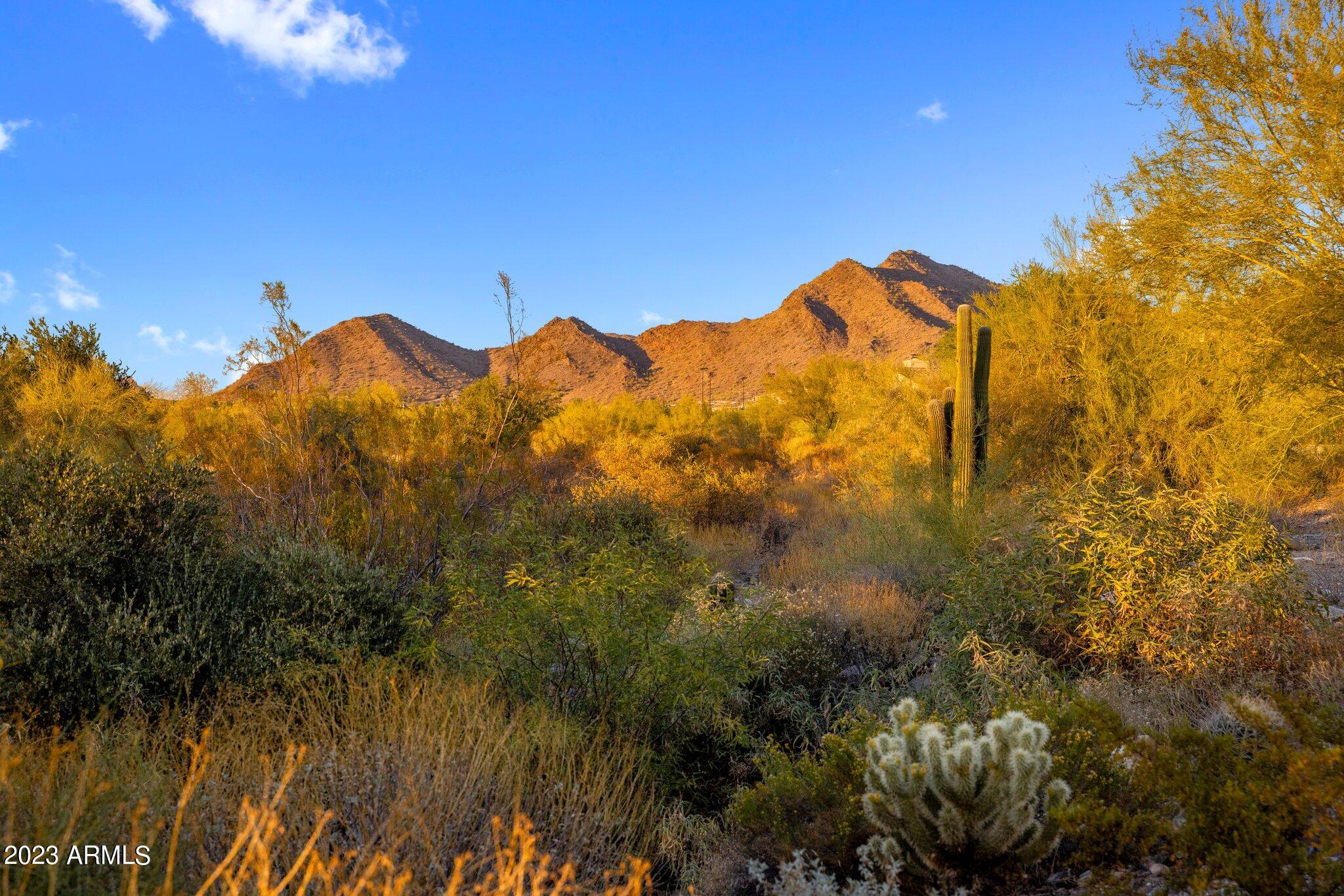 Silverleaf - Residential