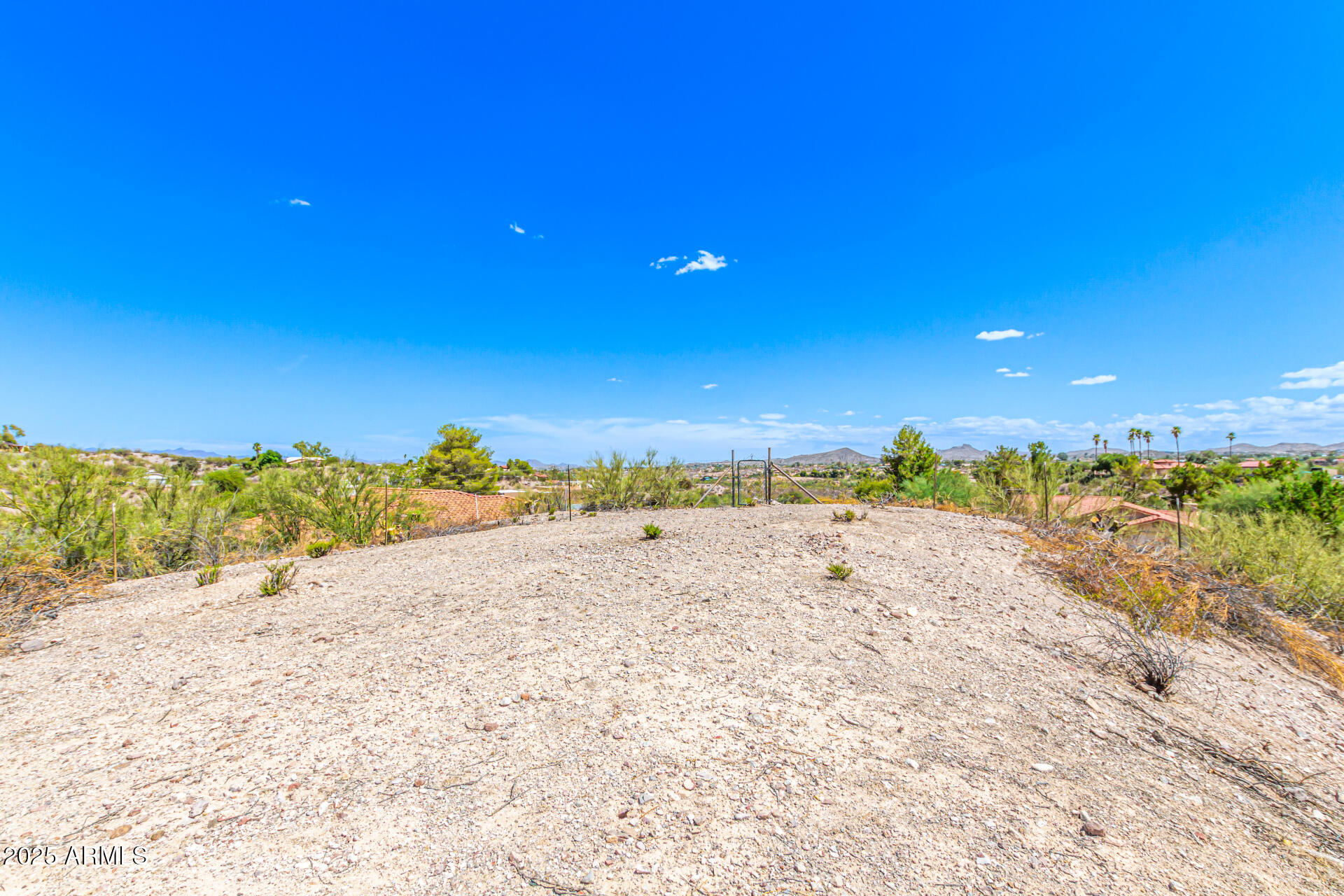 Road Runner - Residential