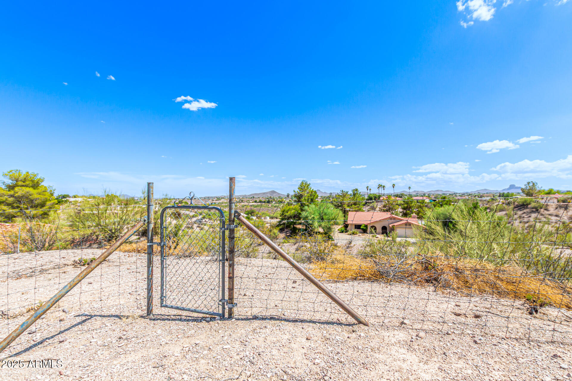 Road Runner - Residential