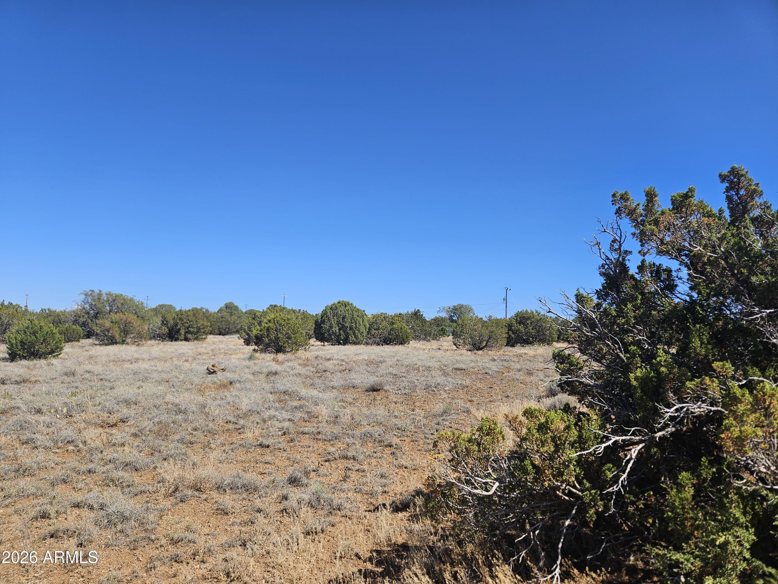 WHITE MOUNTAIN LAKE ESTATES - Land