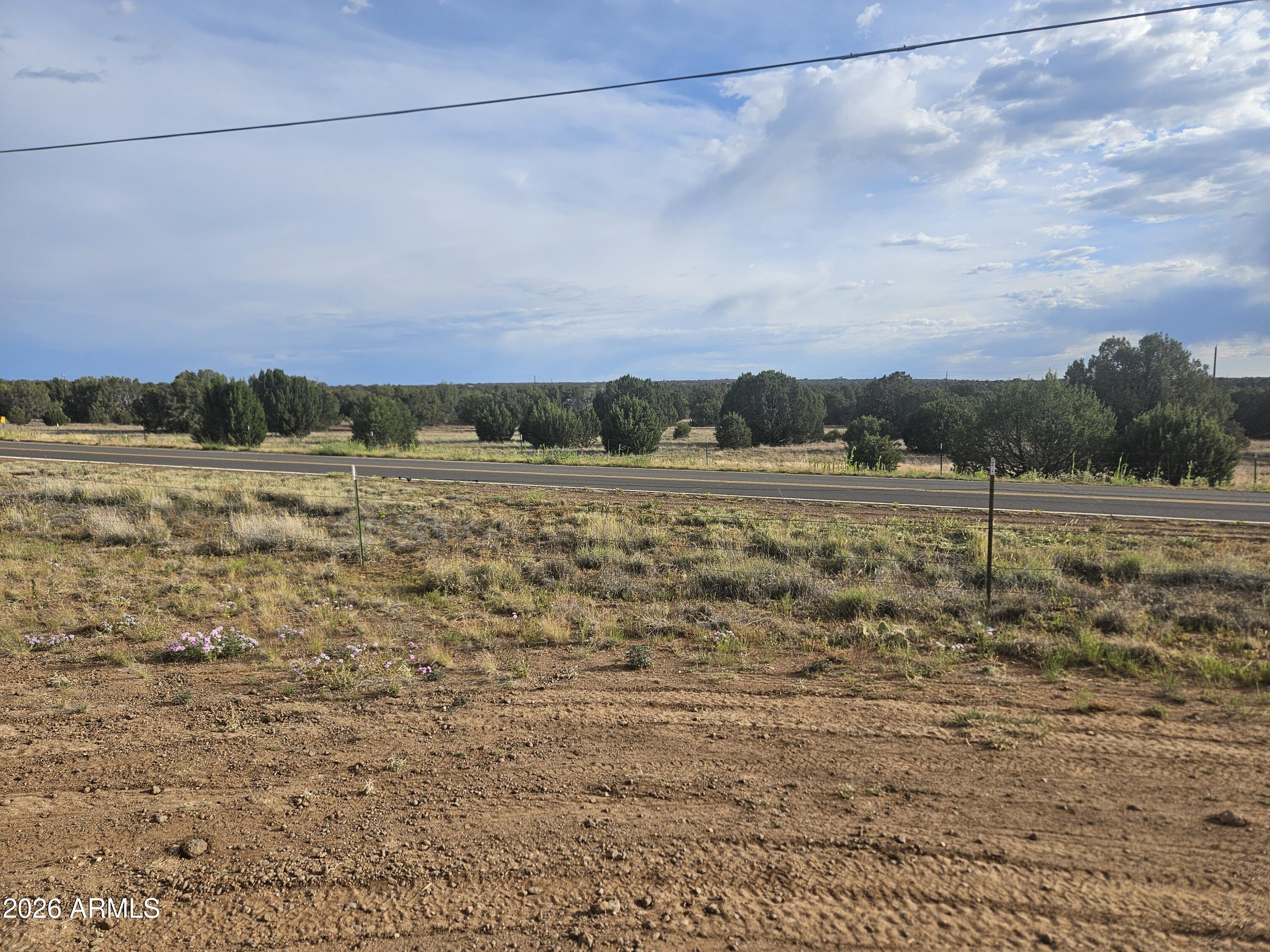 WHITE MOUNTAIN LAKE ESTATES - Land