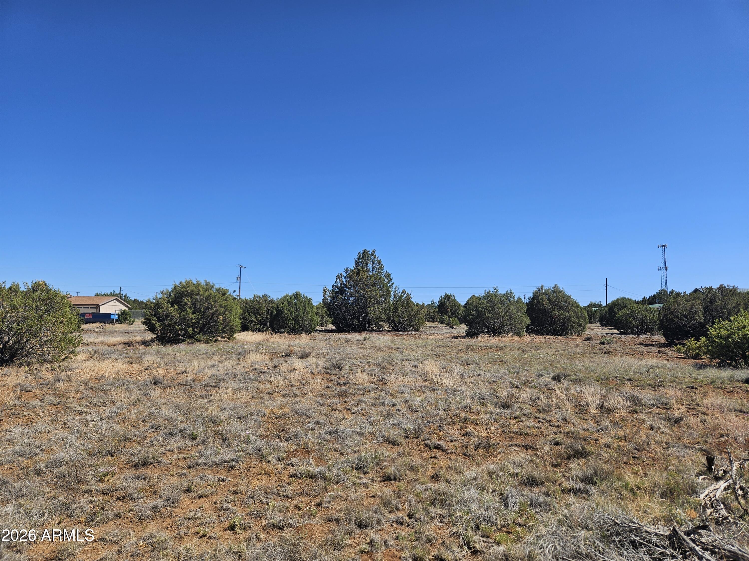 WHITE MOUNTAIN LAKE ESTATES - Land