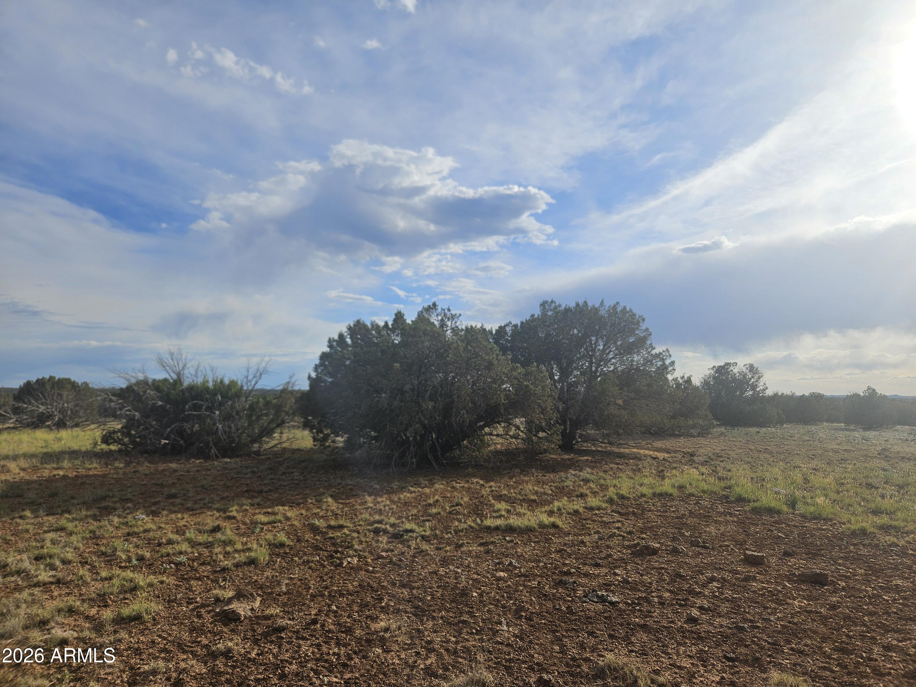 WHITE MOUNTAIN LAKE ESTATES - Land
