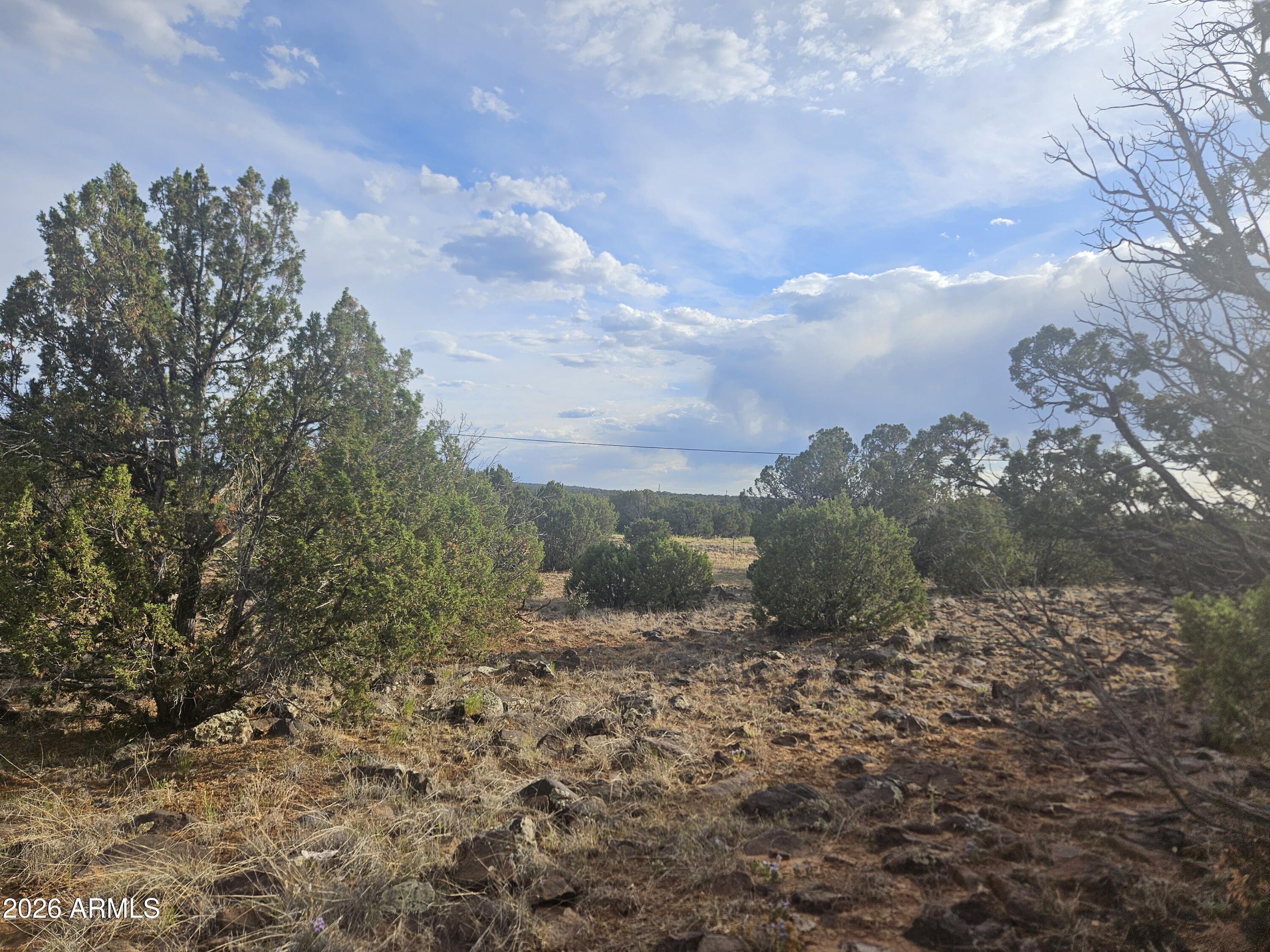 WHITE MOUNTAIN LAKE ESTATES - Land