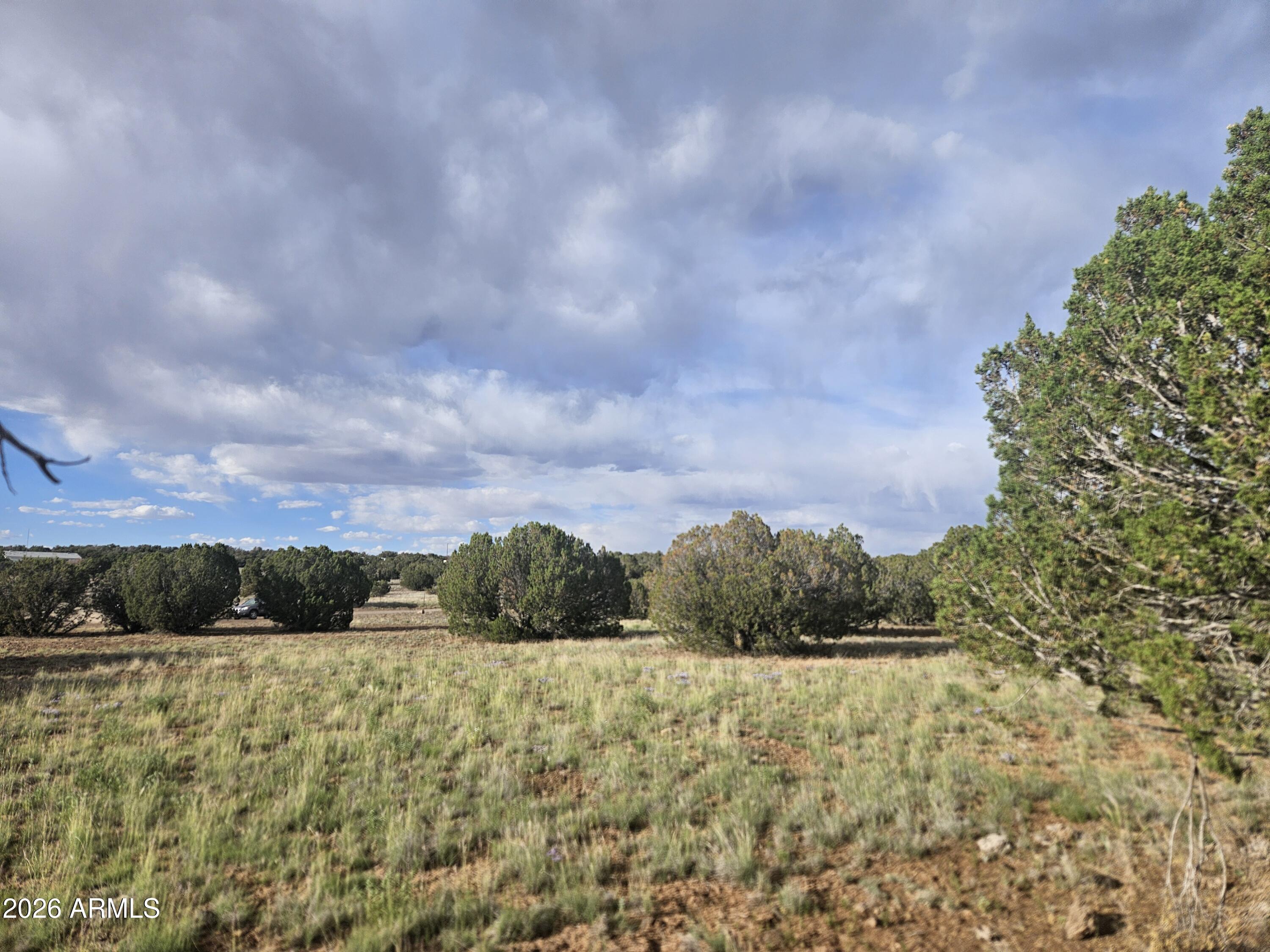 WHITE MOUNTAIN LAKE ESTATES - Land