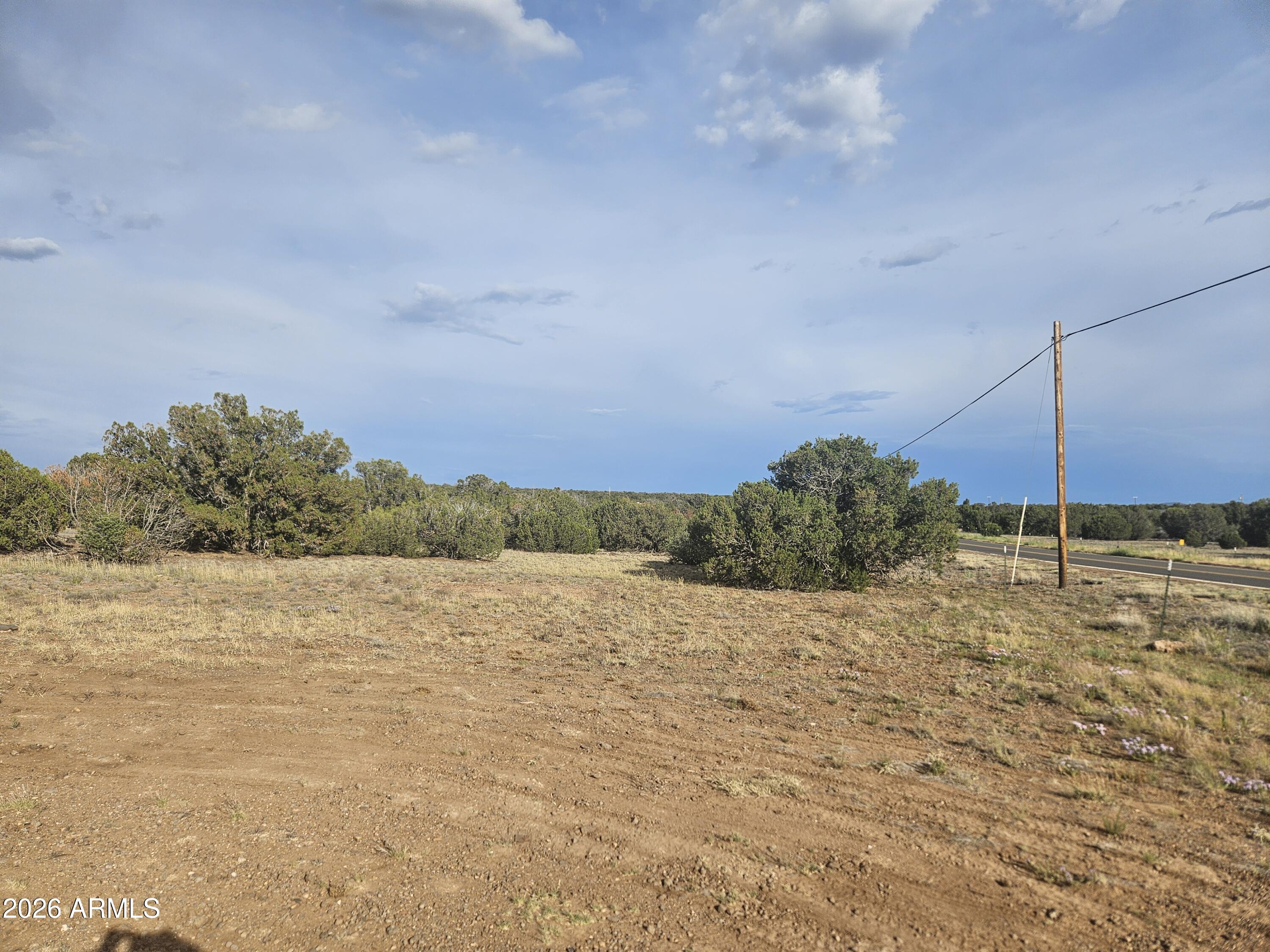 WHITE MOUNTAIN LAKE ESTATES - Land