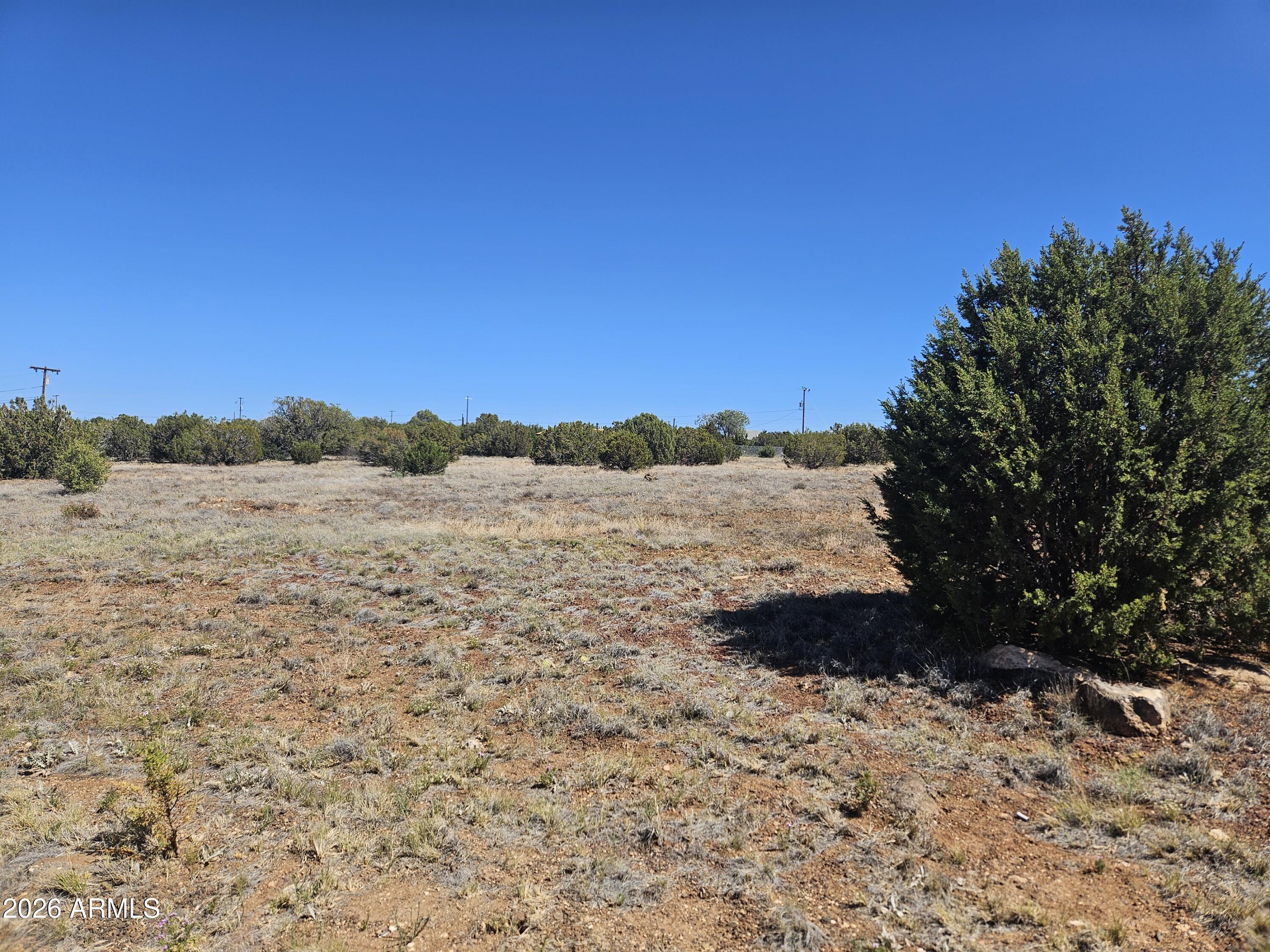 WHITE MOUNTAIN LAKE ESTATES - Land