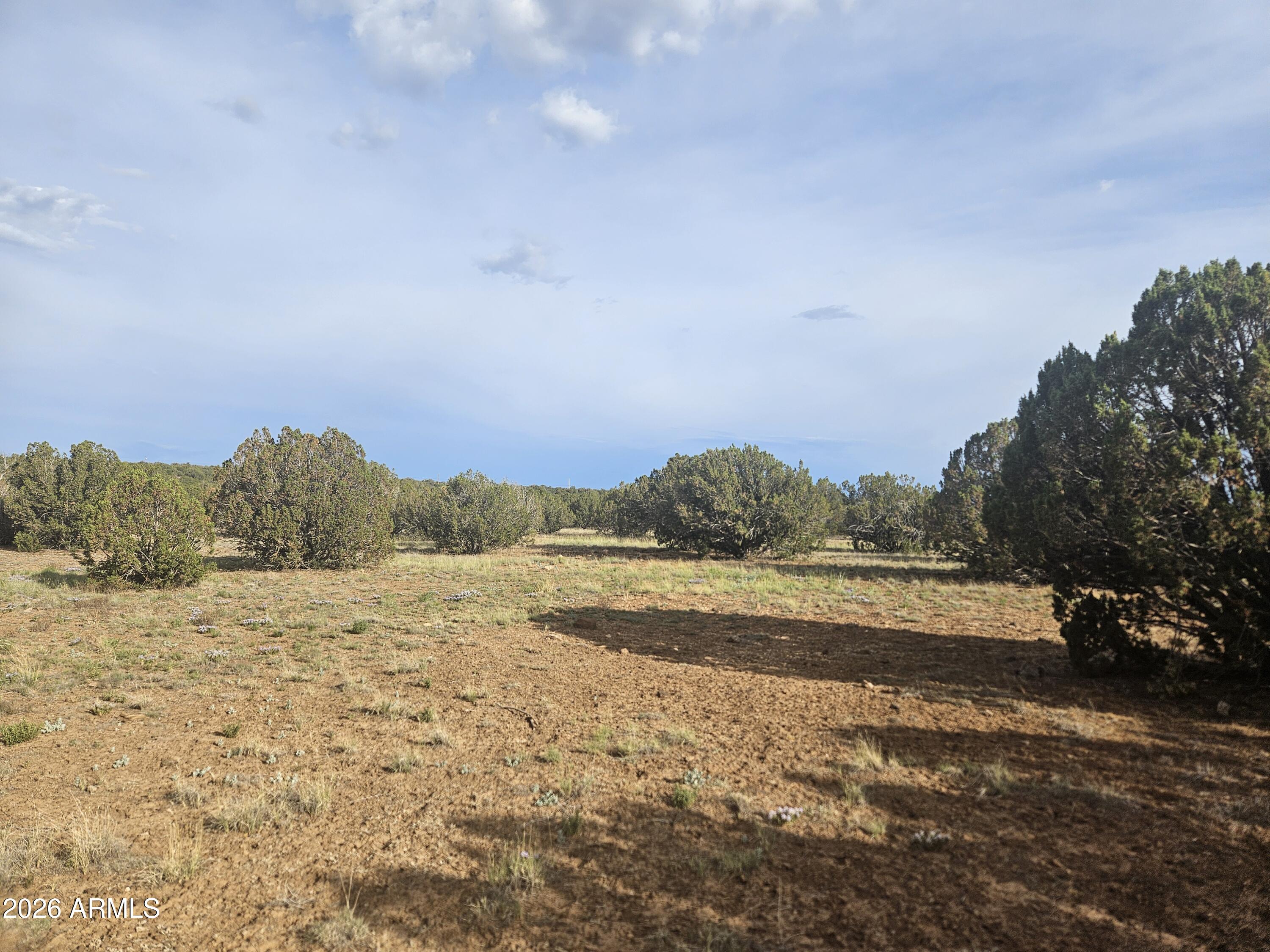 WHITE MOUNTAIN LAKE ESTATES - Land