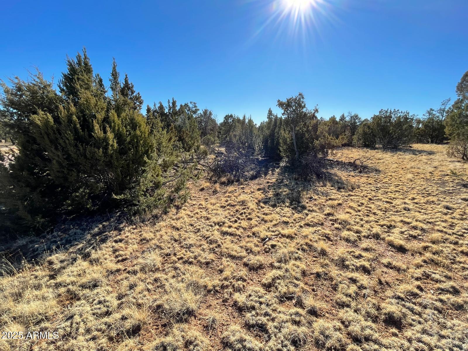 A blend of STUNNING NATURAL LANDSCAPES and TRANQUILITY!! Recently cleaned so you won't have to. One of the biggest corner lots in the area! Perfectly located in a cul-de-sac location. Level to make it easier for you to build your dream home! Electric and Water are available. Community well managed by the HOA. Backs up to the National Forest.