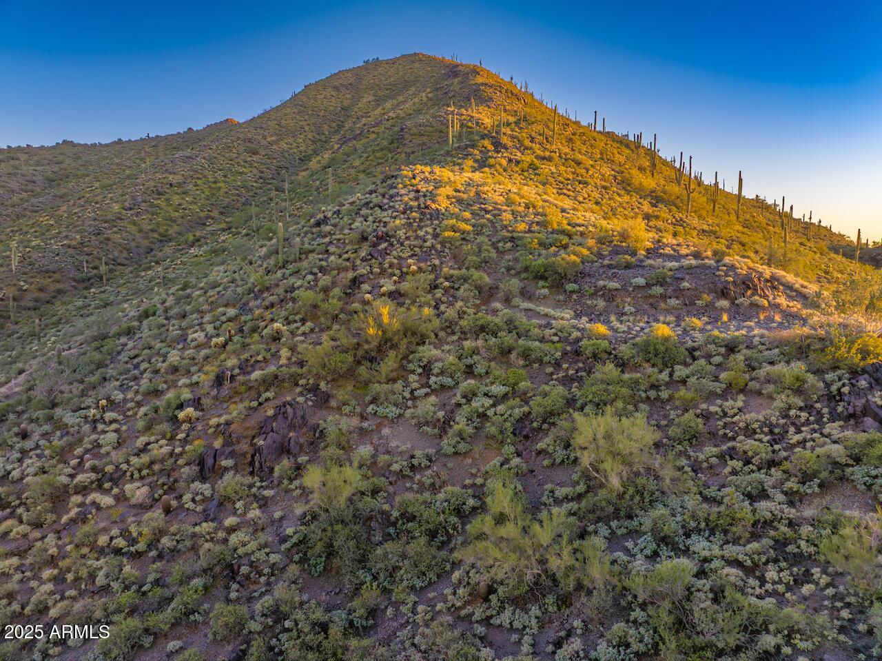 The Heights at Black Mountain - Land