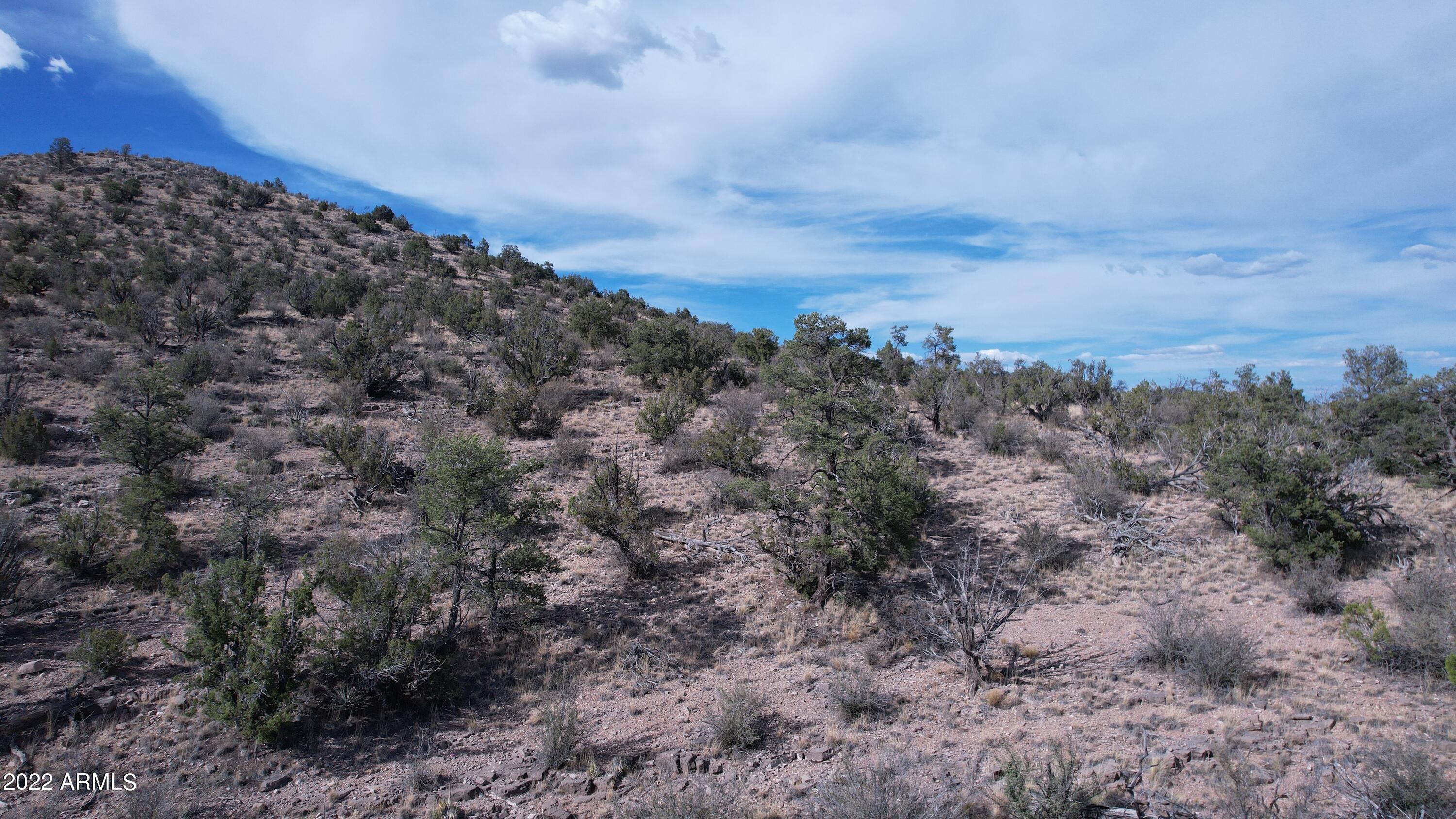 BRIDGE CANYON COUNTRY ESTATES UNIT 10 - Land