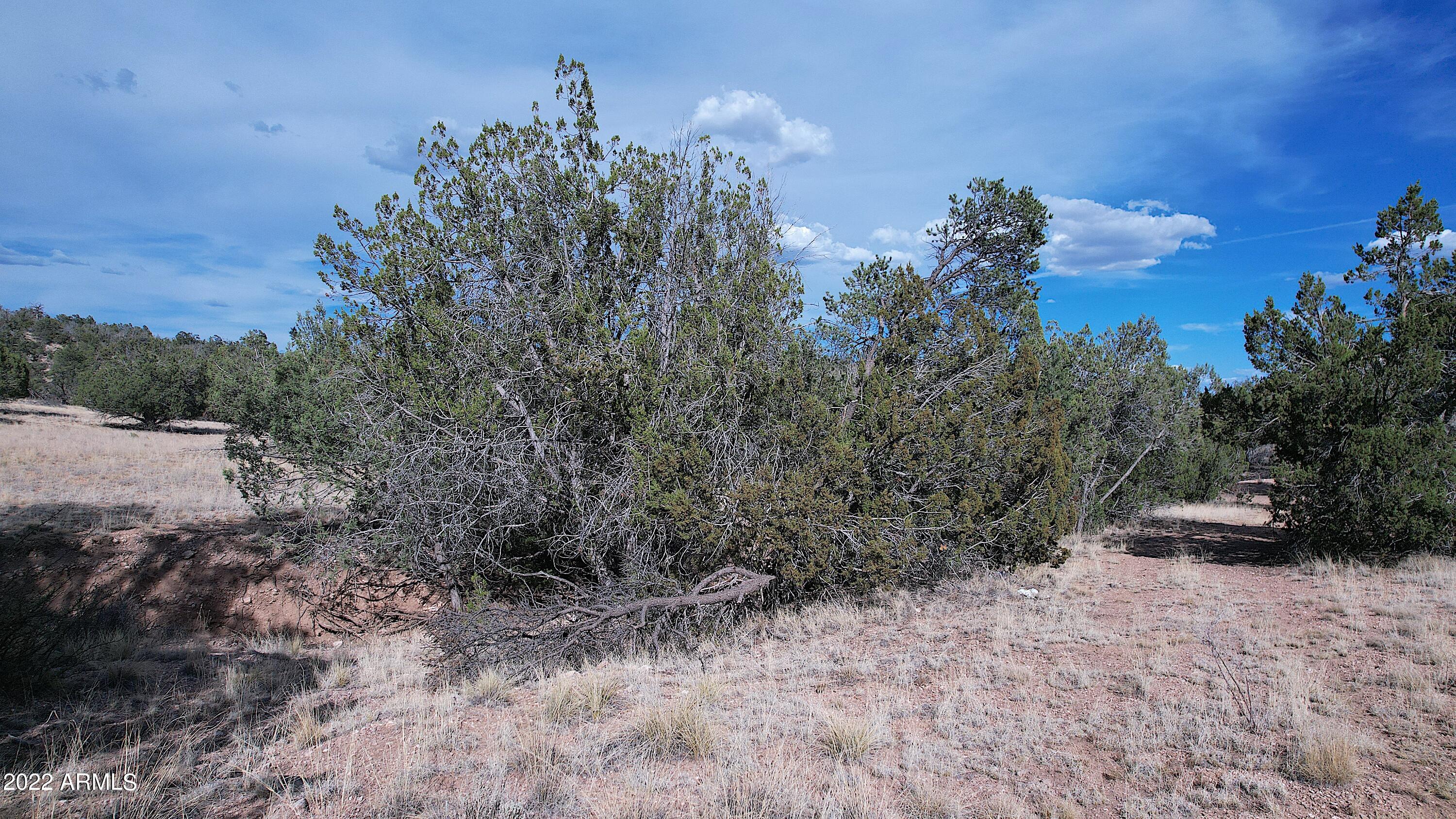BRIDGE CANYON COUNTRY ESTATES UNIT 10 - Land